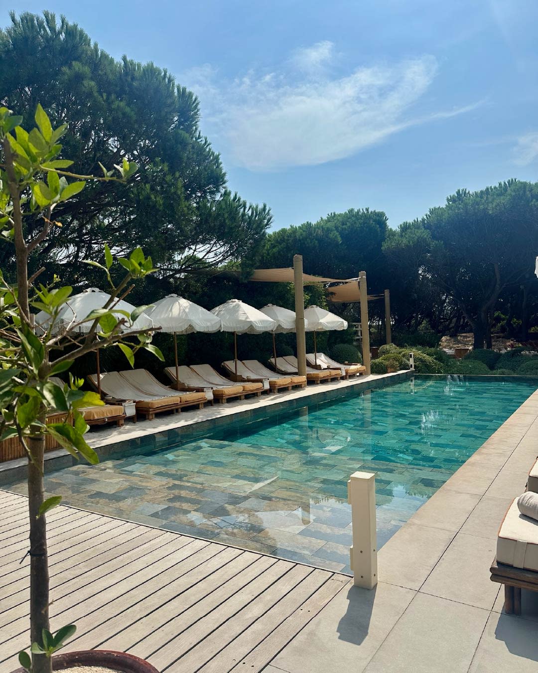 Advisor - Rosé & Reservations: The Ultimate Guide to St. Tropez