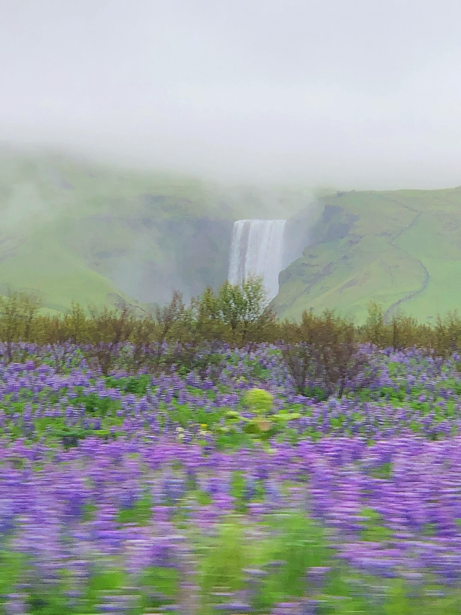 Advisor - Iceland: The Ultimate Bucket List Destination