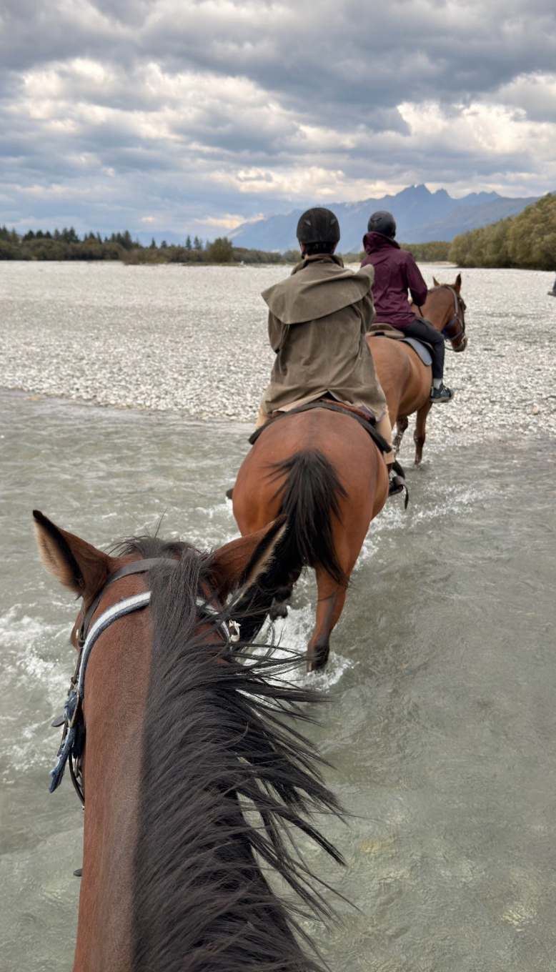 Advisor - Unlock the Extraordinary: Your 14-Day Odyssey Through New Zealand