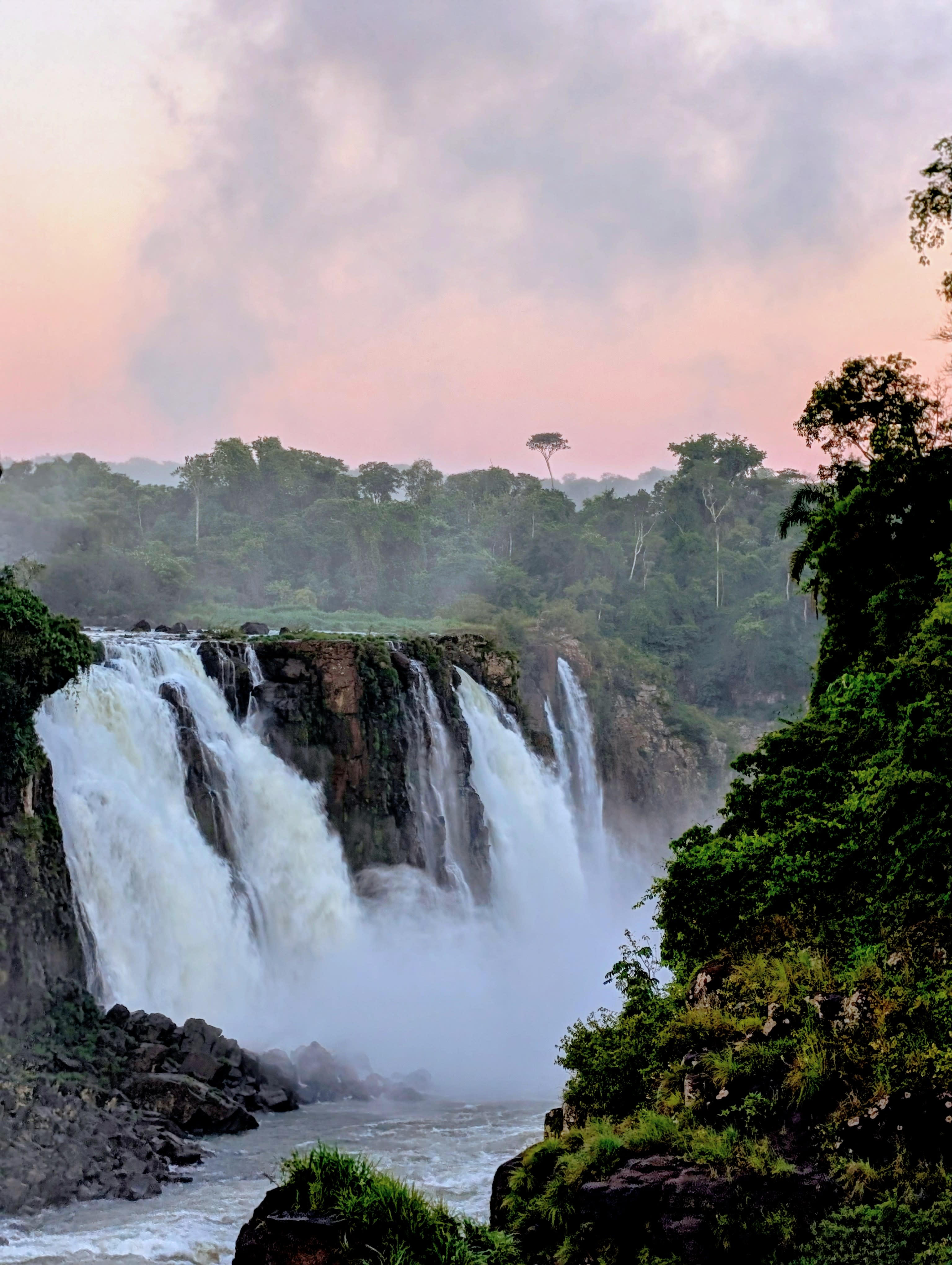 Iguazu Falls: A Sanctuary of Natural Beauty