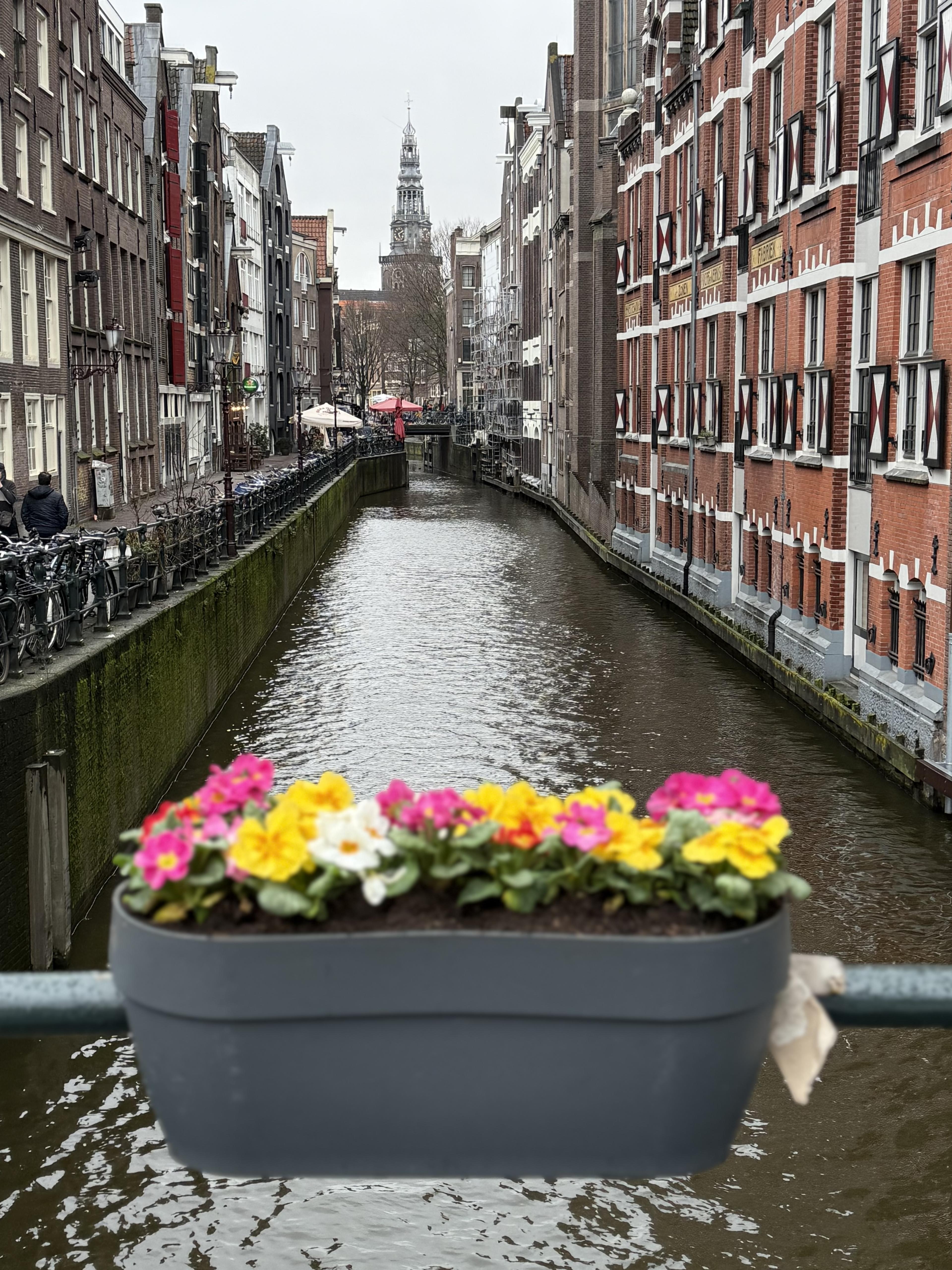 Advisor - The Perfect Stopover: Amsterdam at Your Leisure