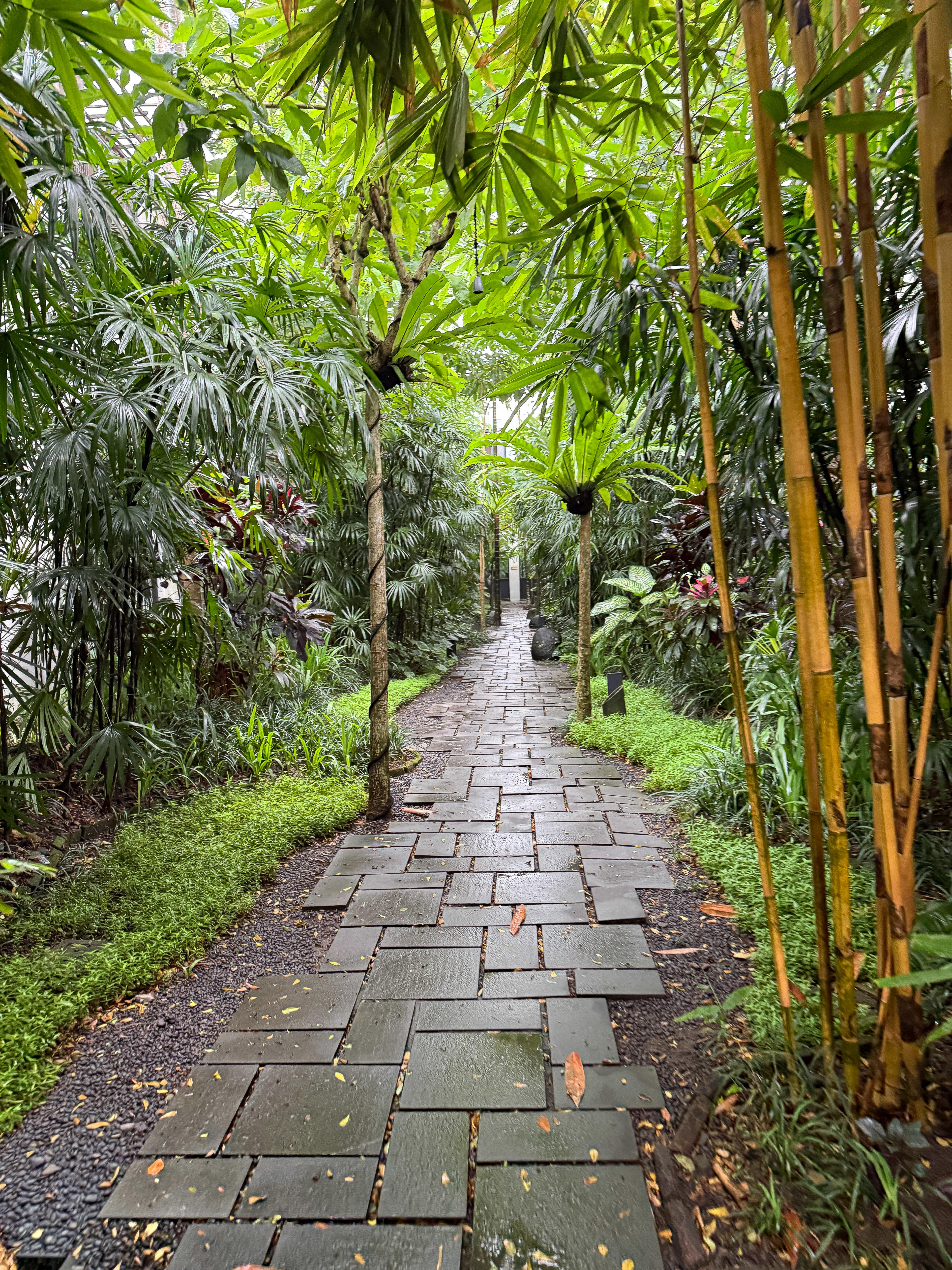 Bisma Eight, Ubud: A Modern Sanctuary
