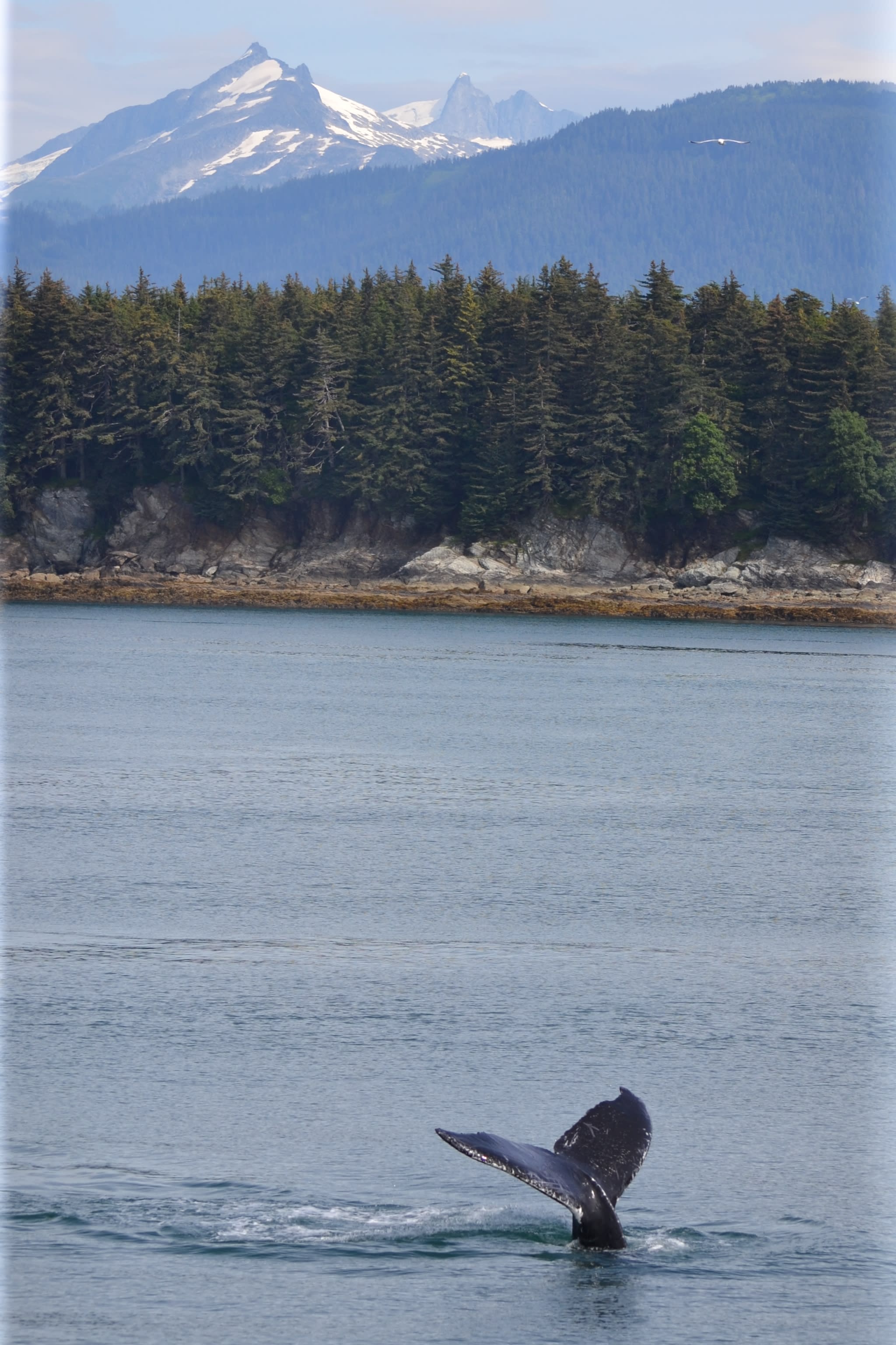 Honeymooning in Alaska: Glaciers, Romance & Adventure