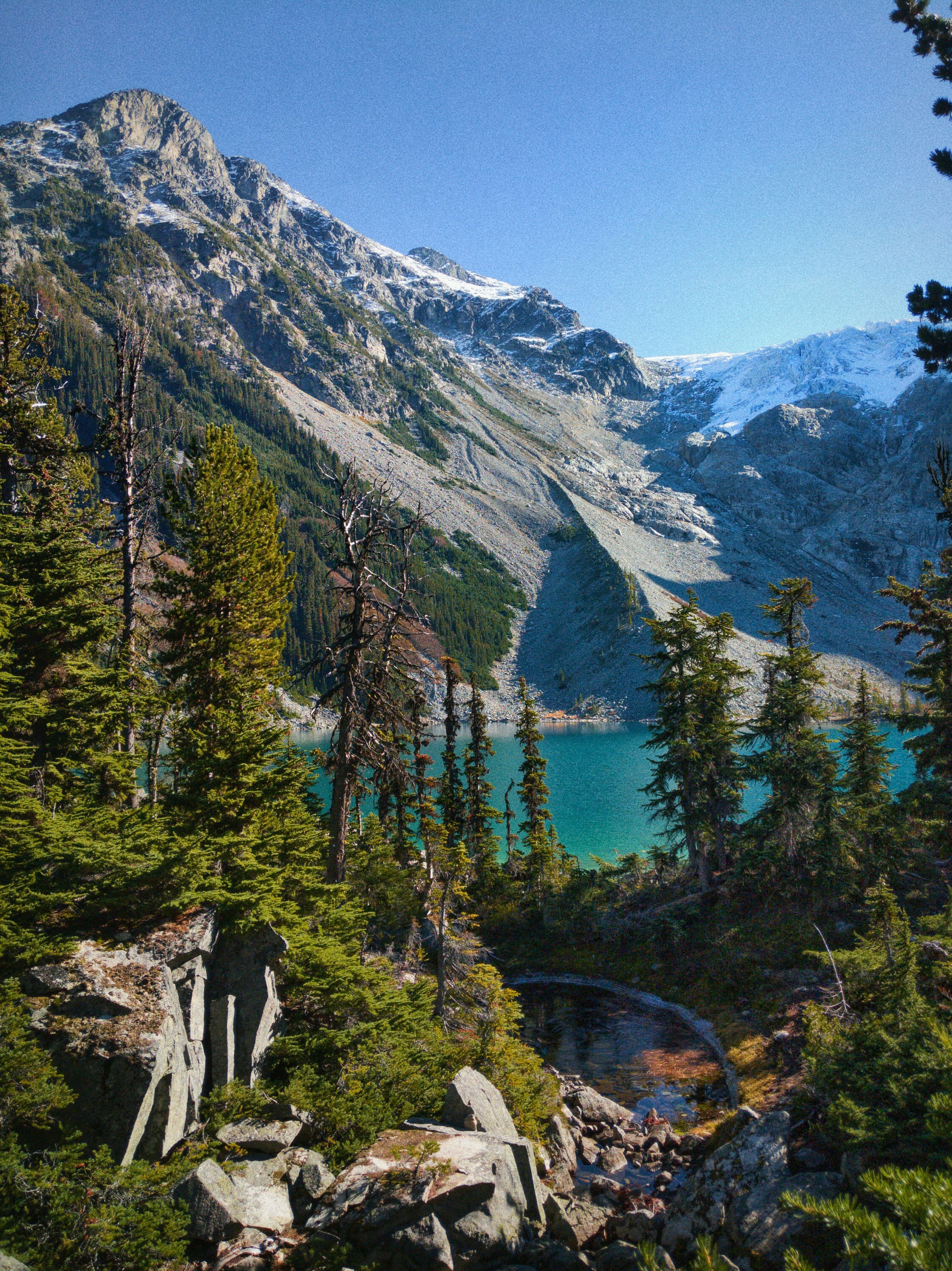Advisor - The Art of the Coastal Safari: A Deep Dive into Clayoquot Wilderness Lodge