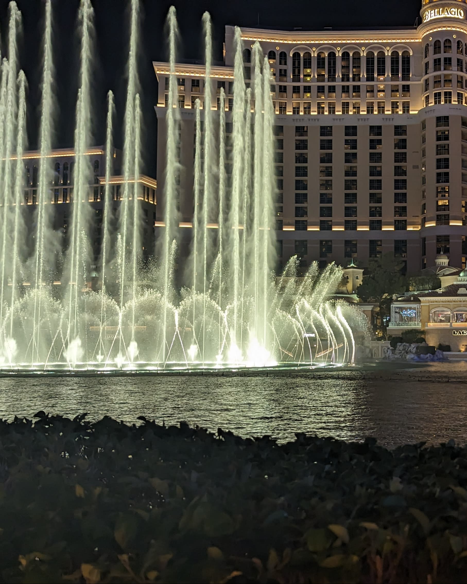 Vegas Decoded: An Insider’s Guide to Las Vegas with Teens