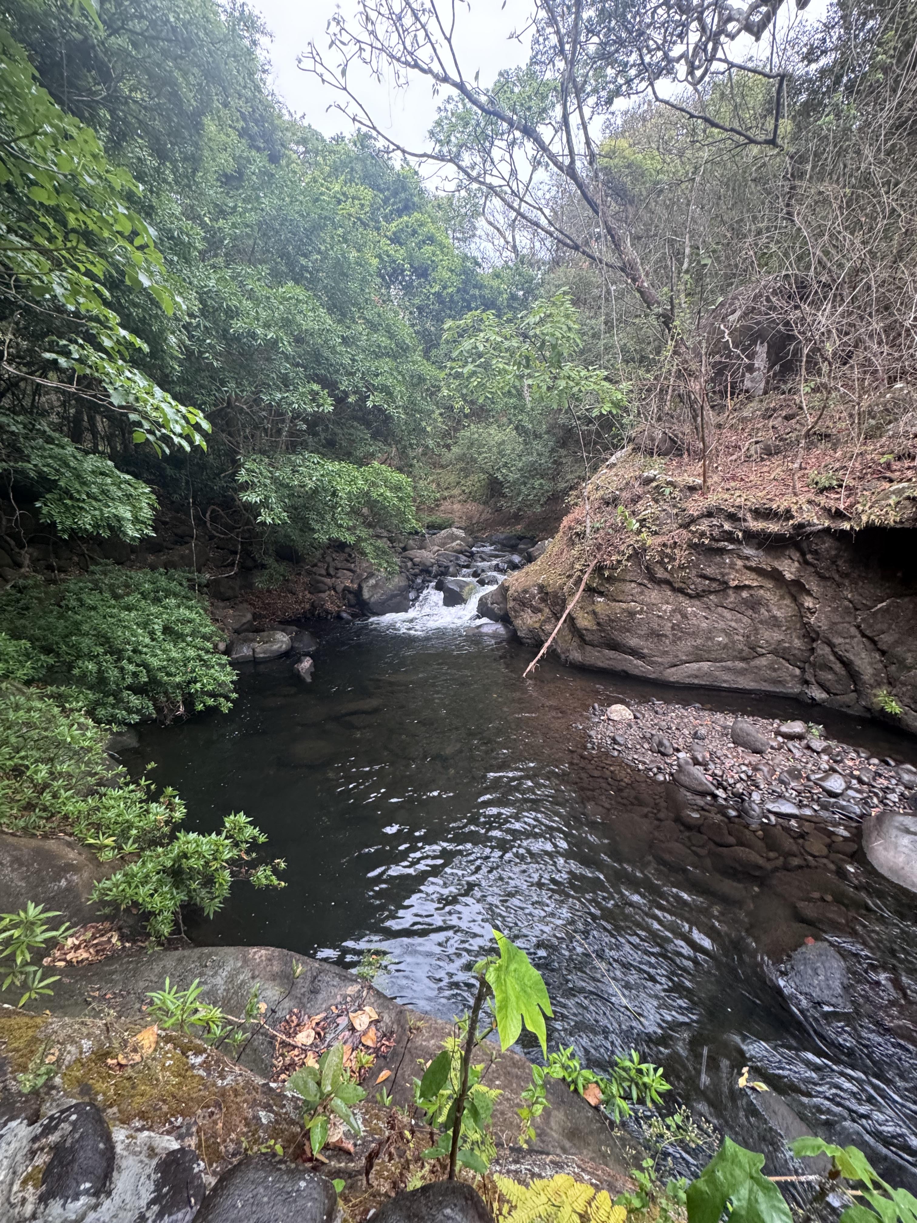 Wild, Grounding & Unforgettable: My Guanacaste, Costa Rica Experience