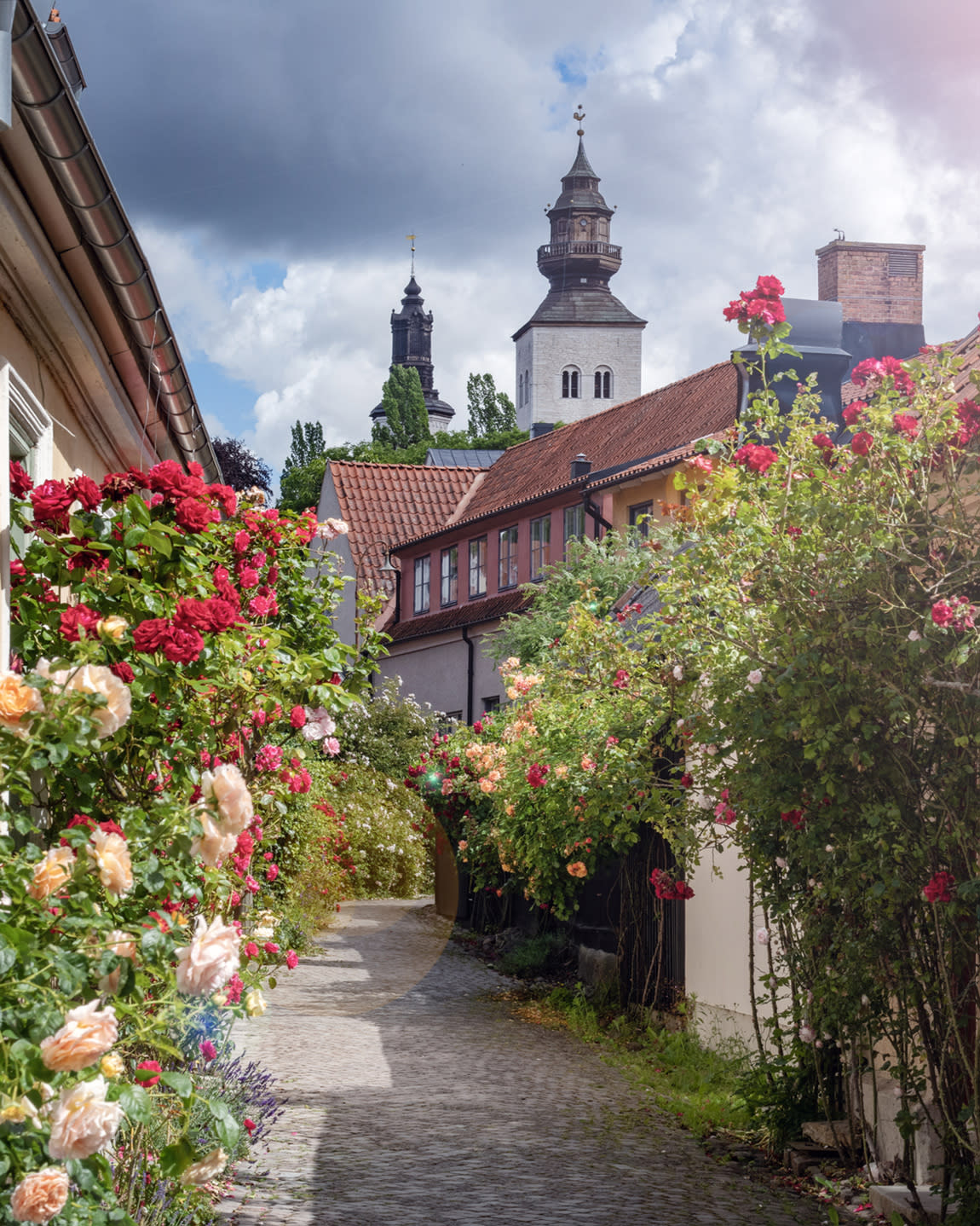 Advisor - Gotland: Sweden’s Summer Island, From Visby to the Beaches