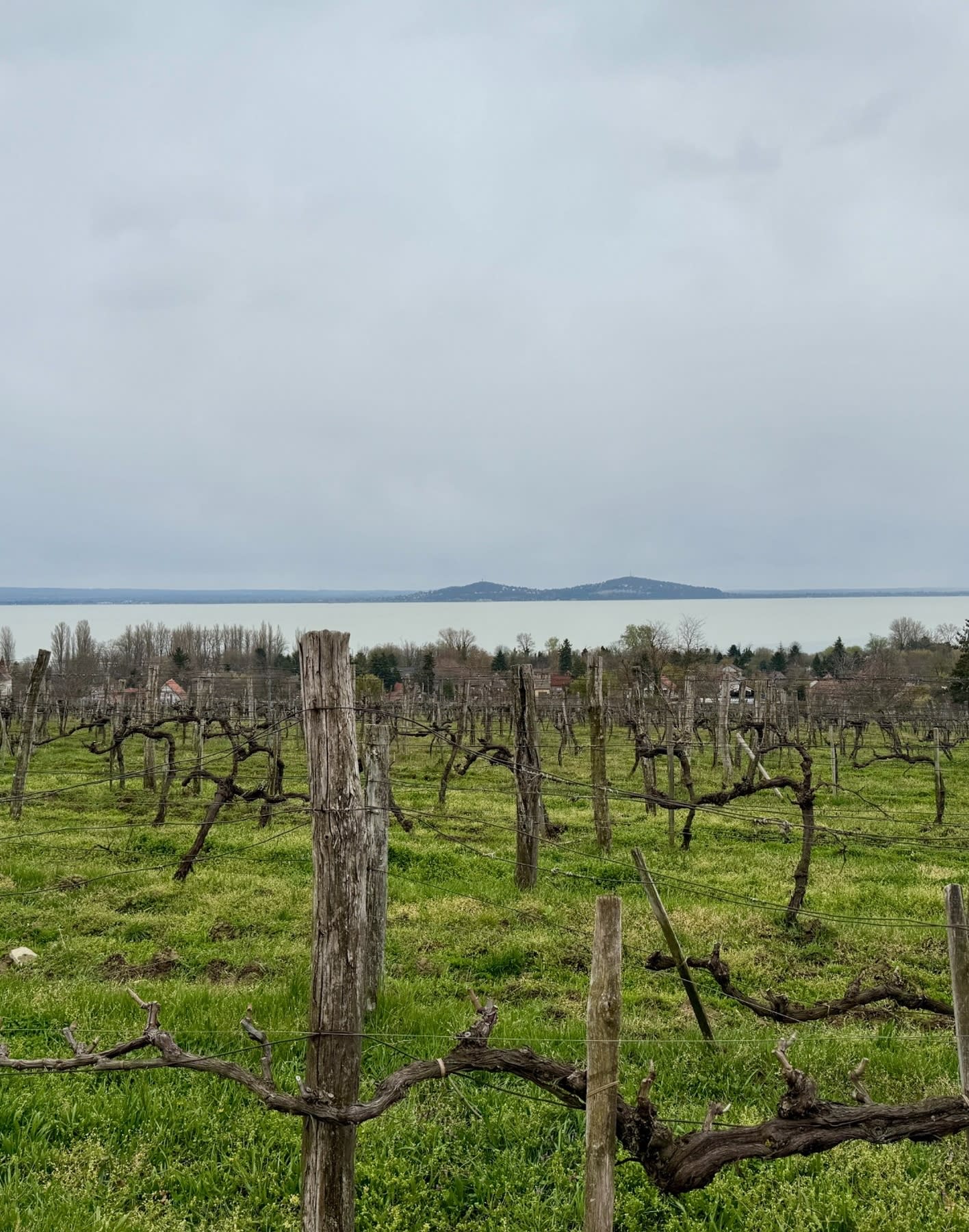 Sip, Savor & Stay: A Wine Lover's Guide to Badacsony, Hungary