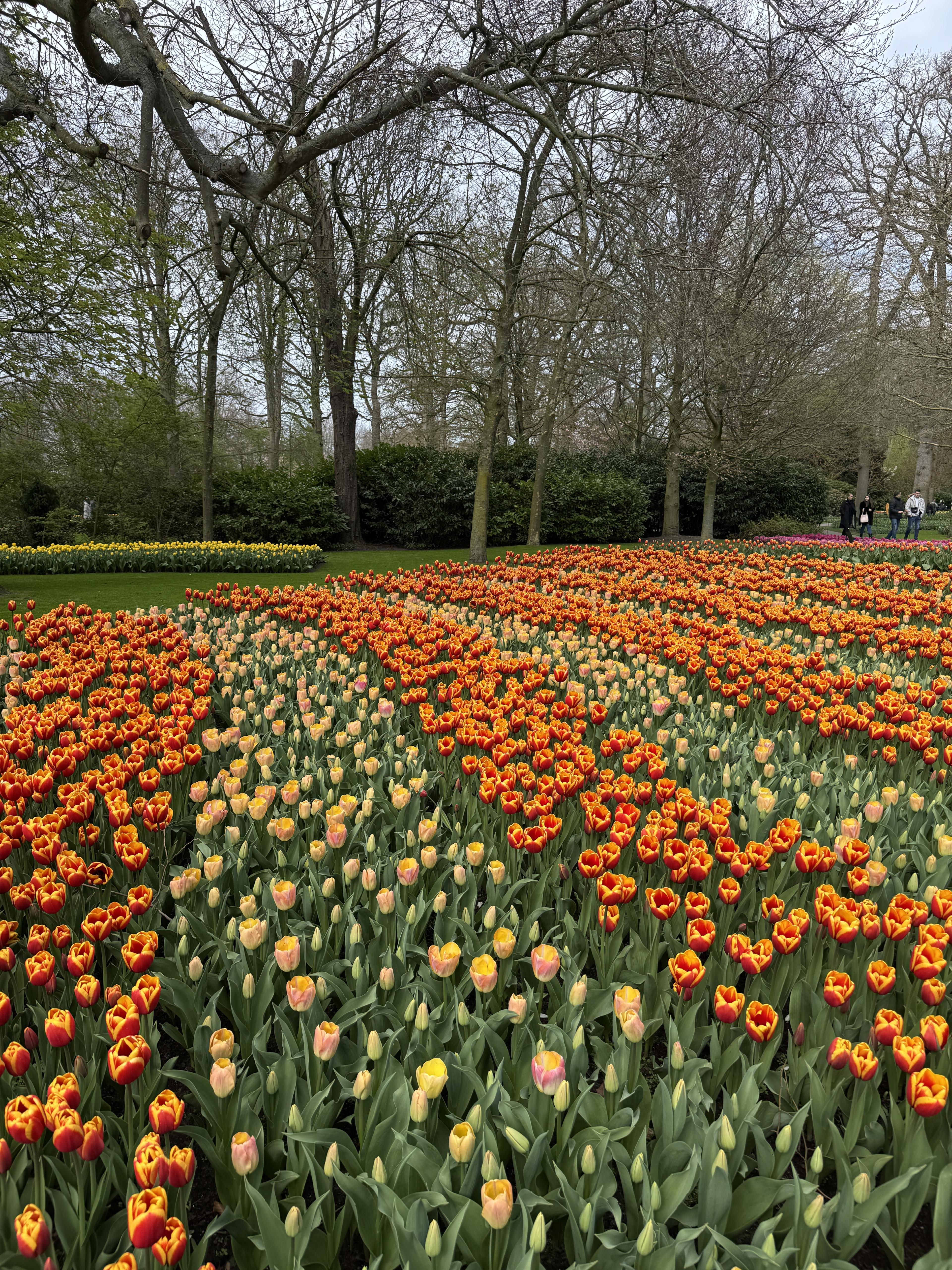 From Harry Potter to Tiptoeing Through Tulips: A Unique Kind of Eurostar Family Vacation