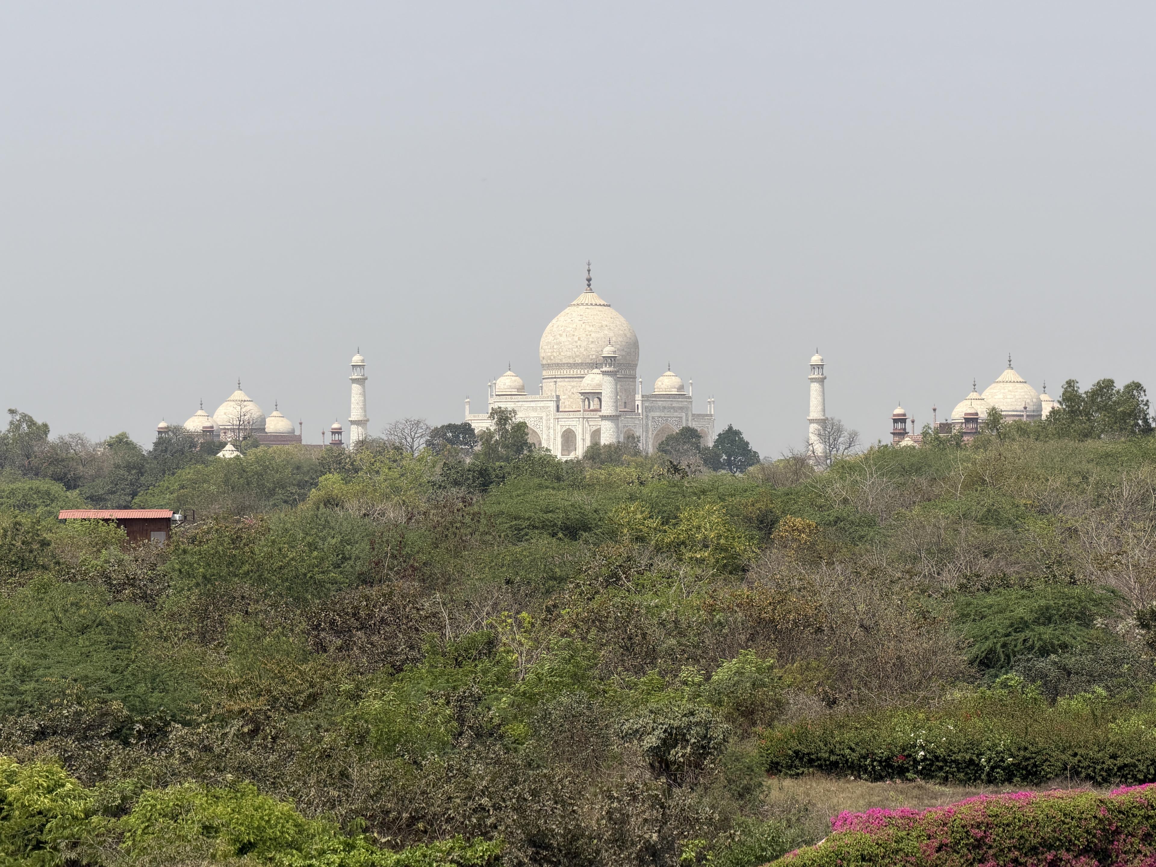 Why I Love India