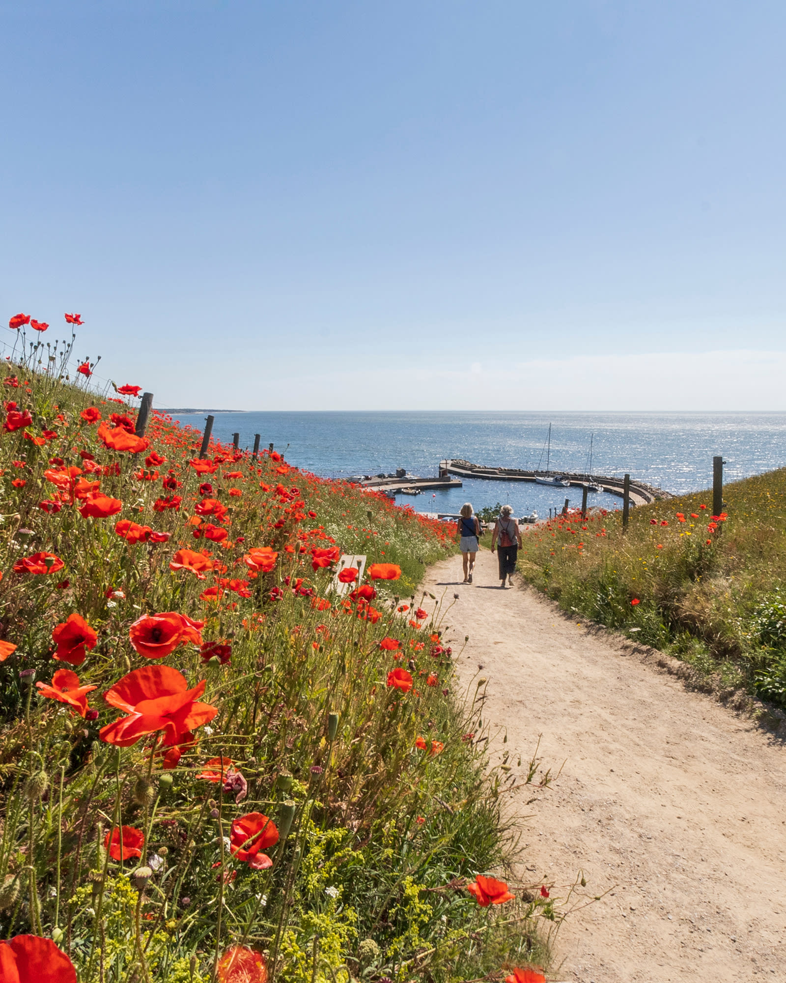 Advisor - Southern Sweden: From Urban Malmö to the Skåne Riviera