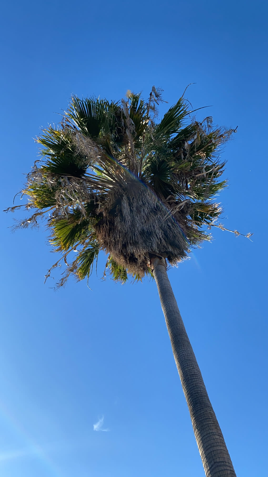 Advisor - A Weekend in L.A.