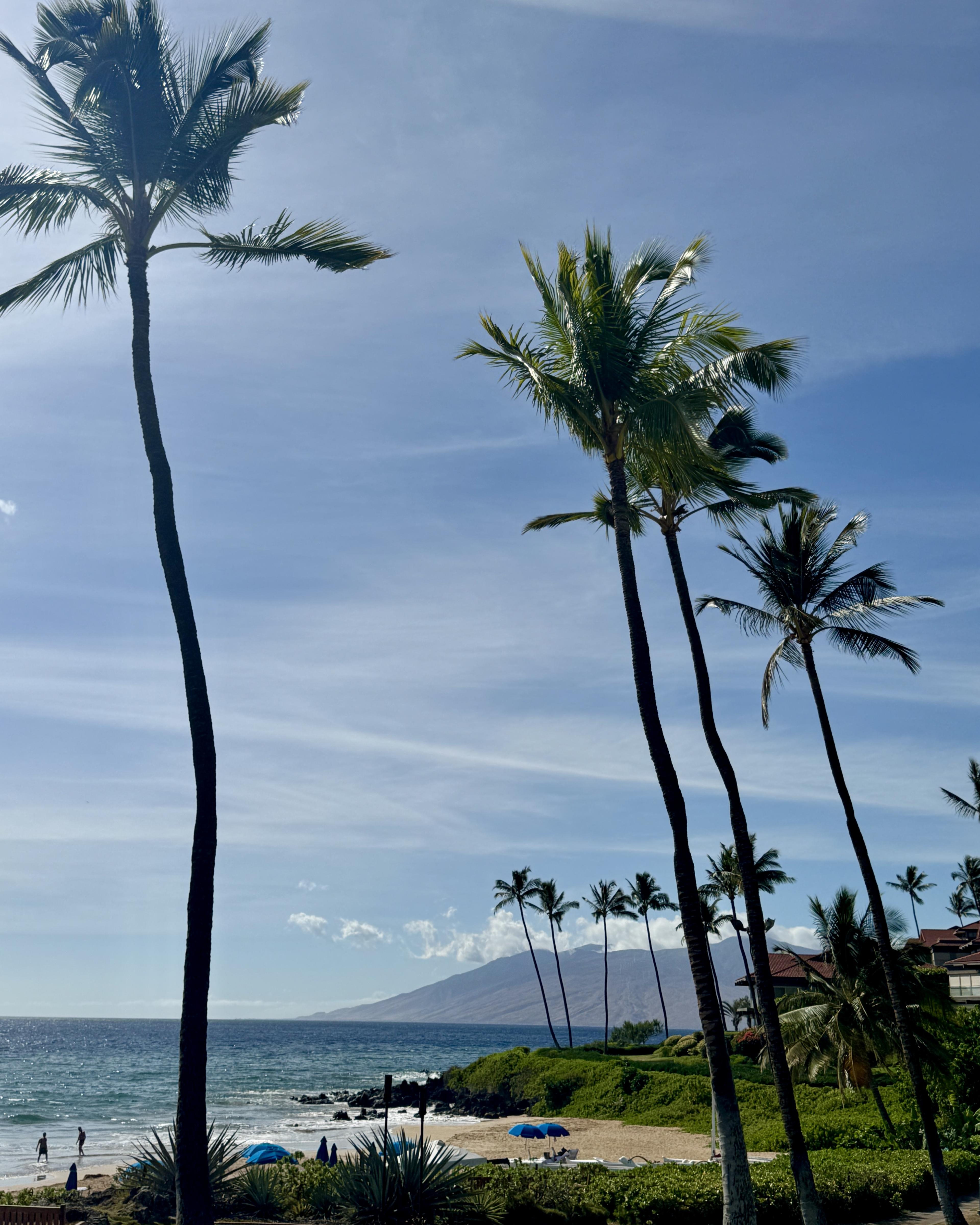 Advisor - A Summer Vacation in Maui with Kids: An 8-Day Itinerary