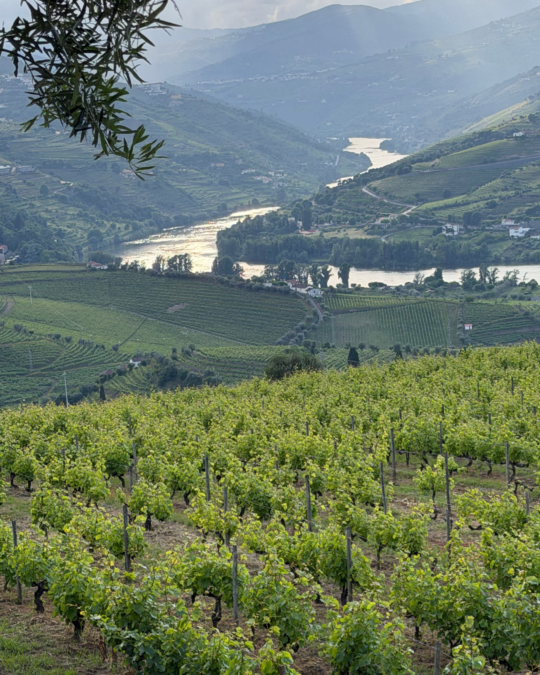 3 Perfect Days in Porto & Portugal’s Douro Wine Region