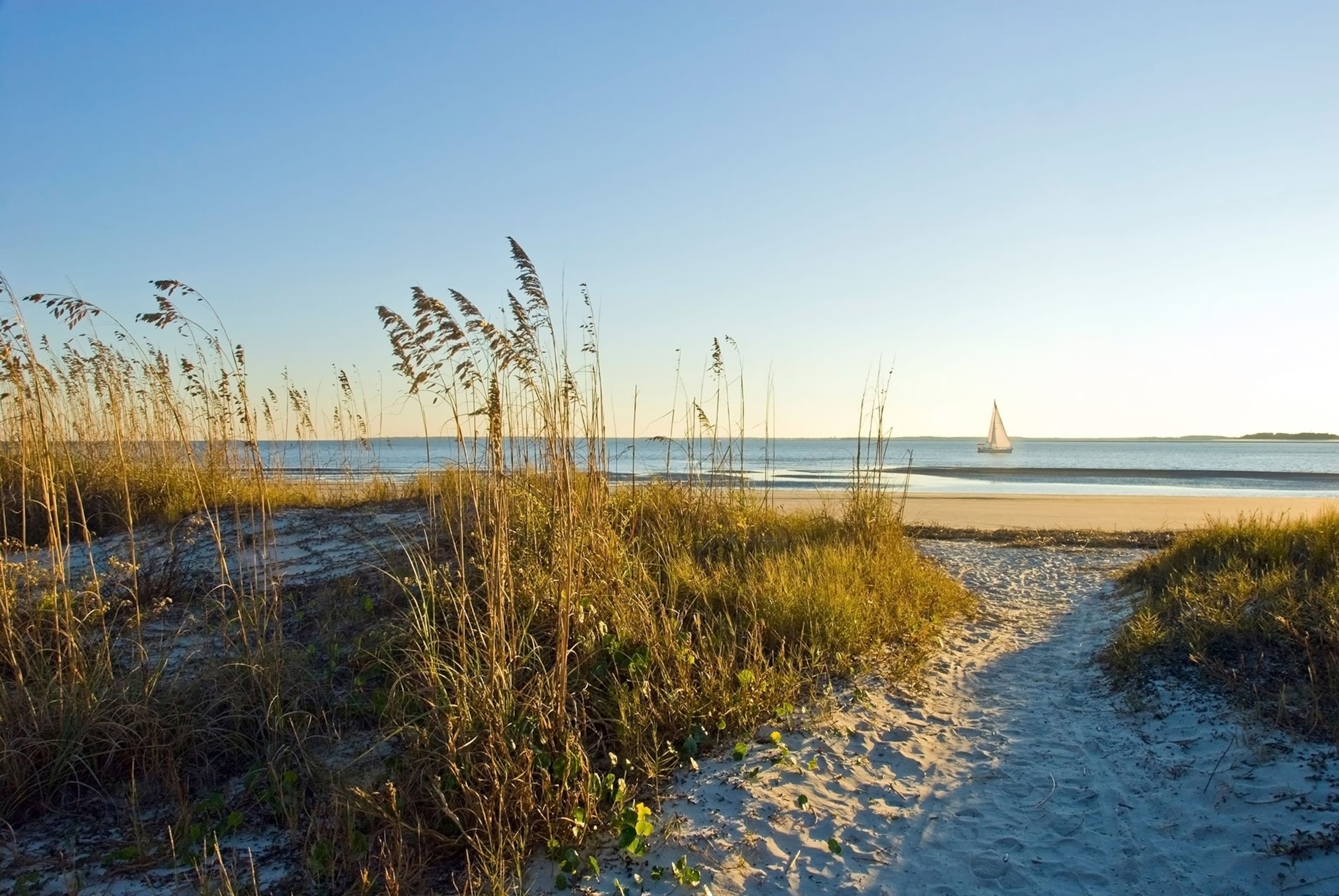 Advisor - Hilton Head Island with Kids: My Favorite Family-Friendly Spots