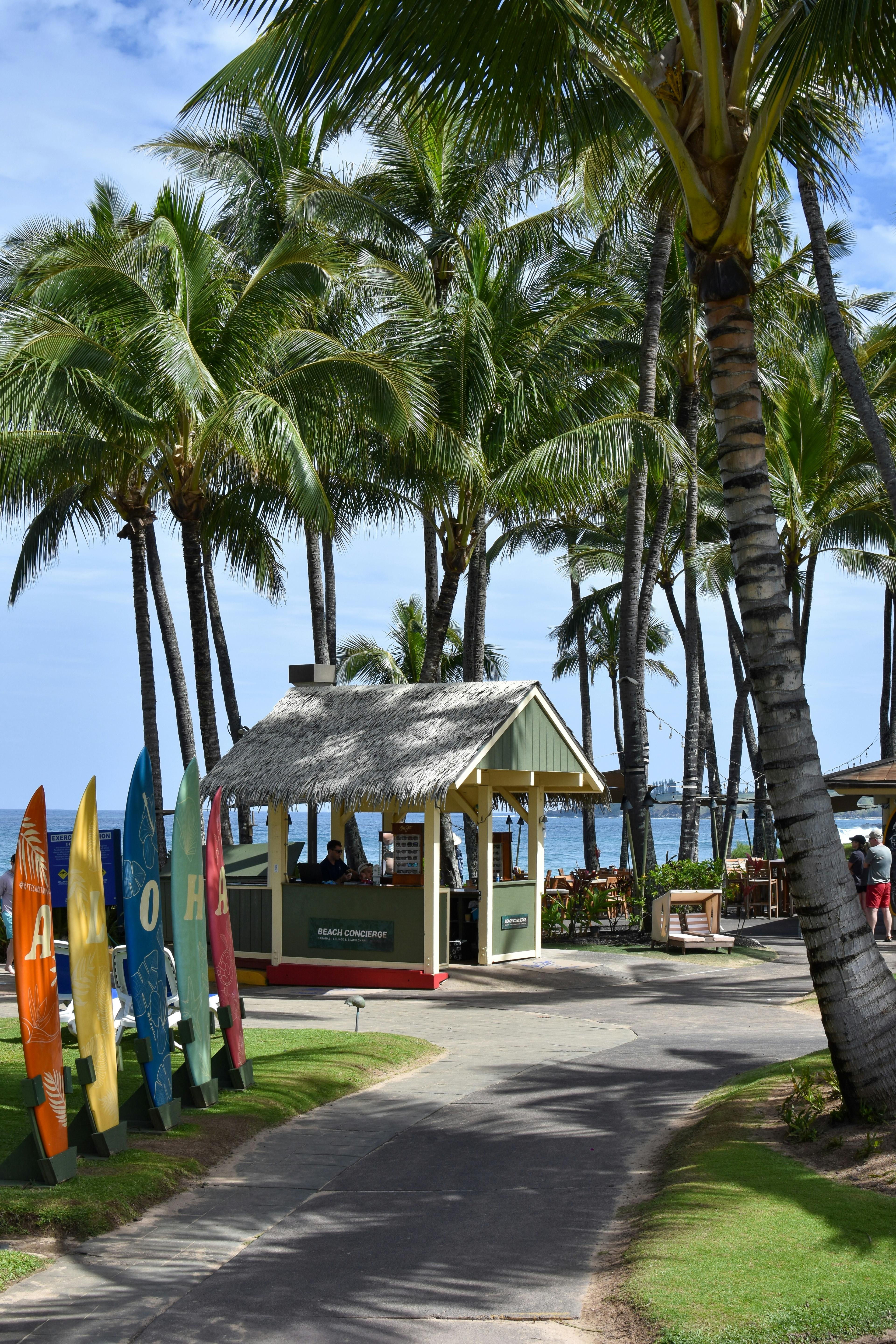 Advisor - Maui, Hawai’i: Eat Your Way Through the Island