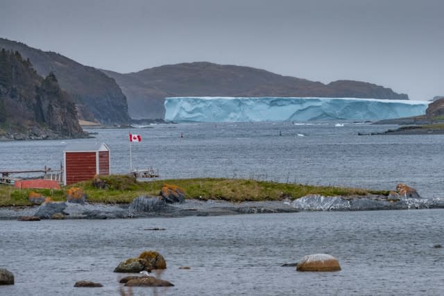 Newfoundland: My New Found Land