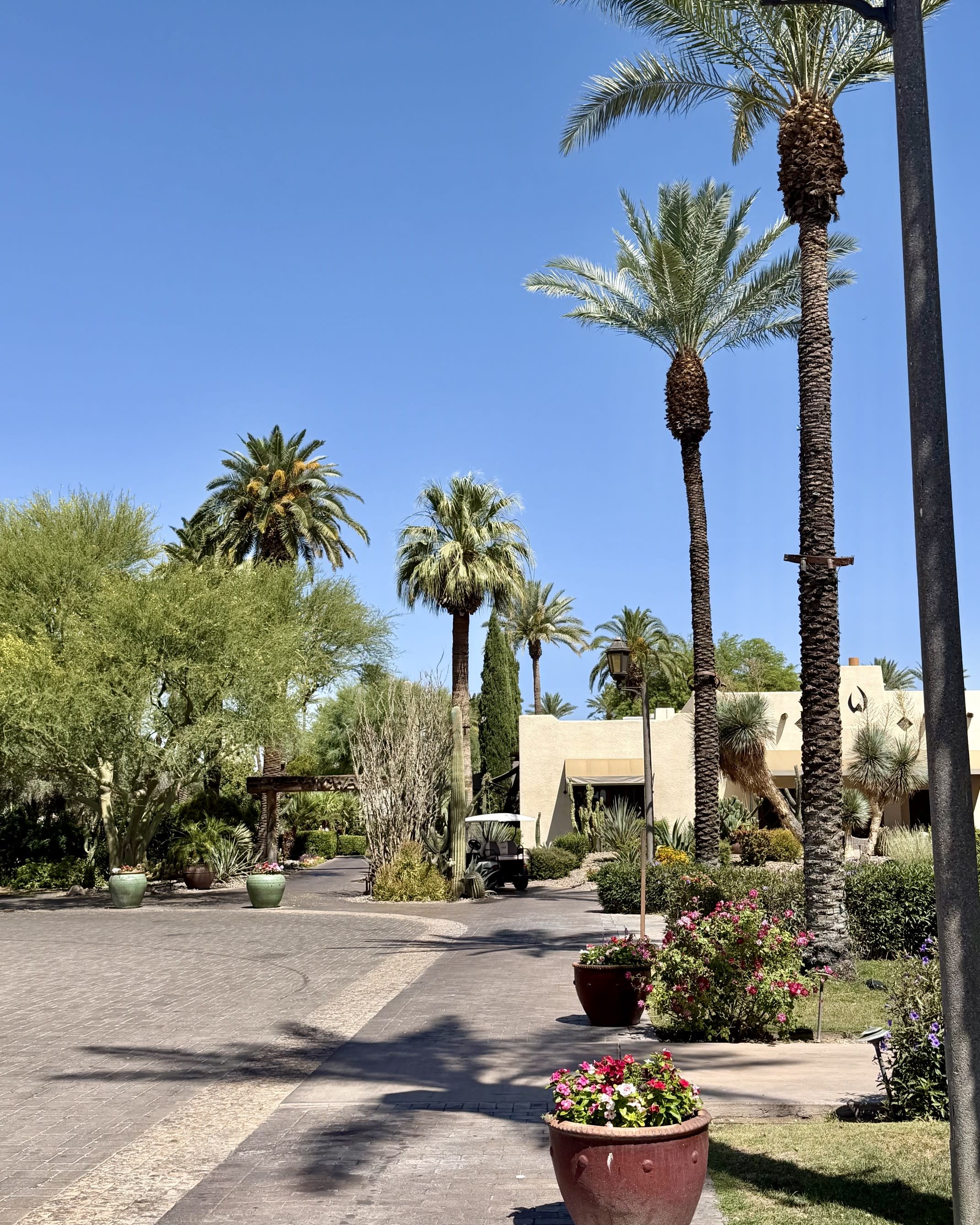 Curated Desert Luxury at The Wigwam