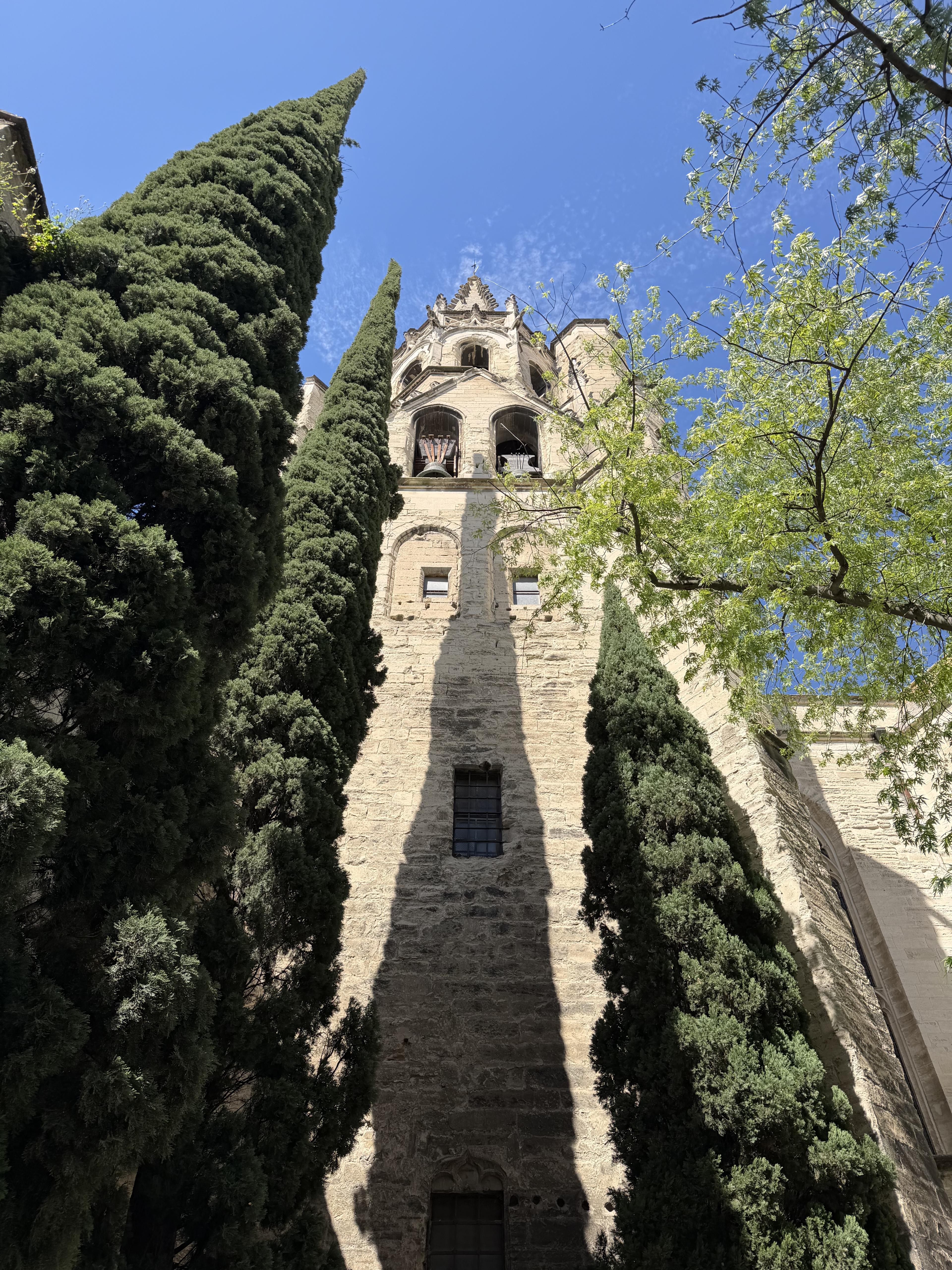 Advisor - Discovering Avignon: Where to Stay, Eat & Explore Before a Rhône River Cruise