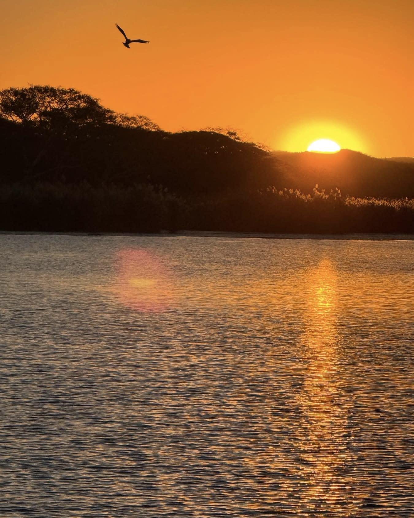 Advisor - My Ultimate African Journey: 20 Days, Overland Safaris & A Cruise