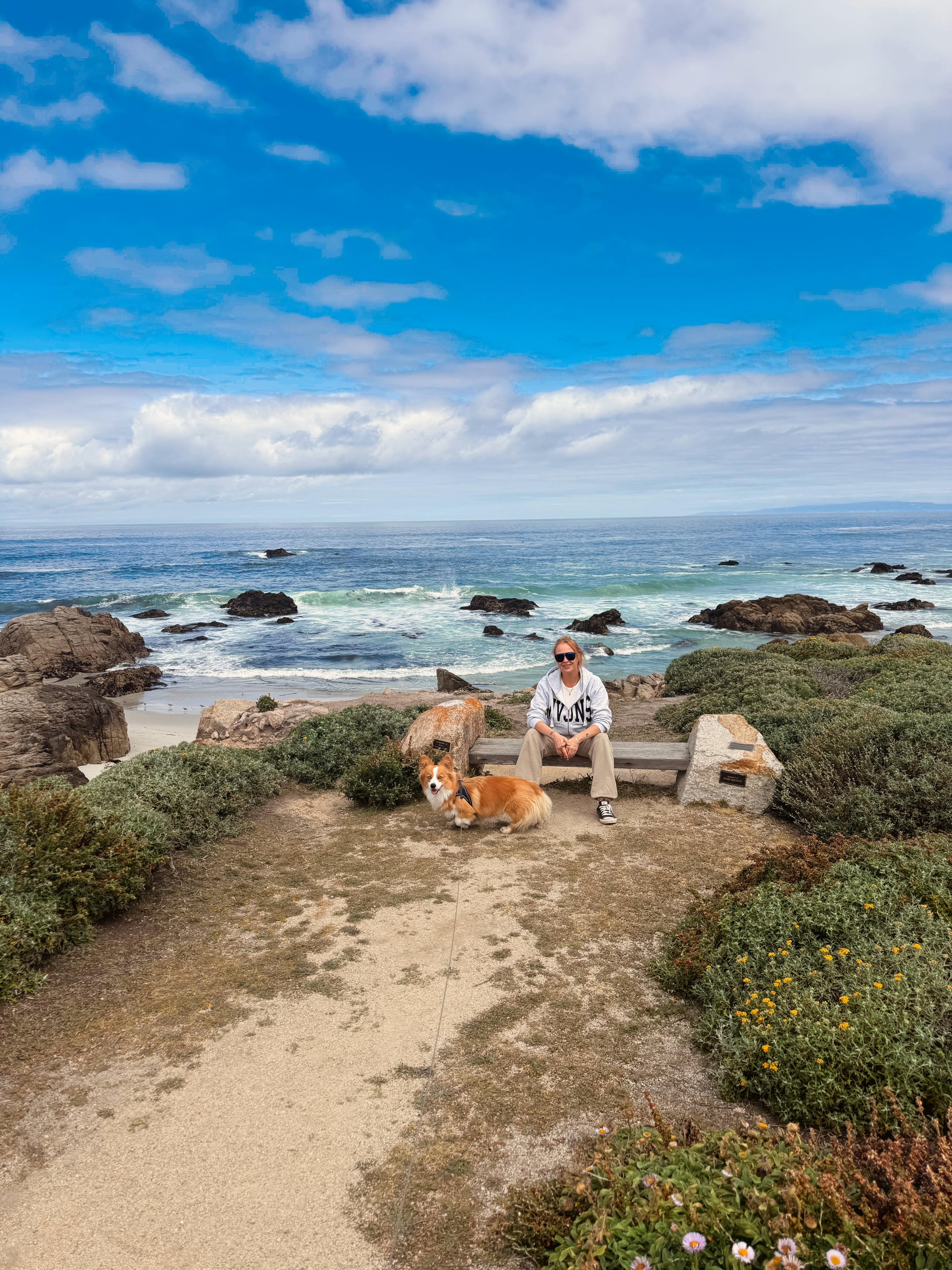From Napa Valley to Bodega Bay: Wine, Coastlines & Hollywood History