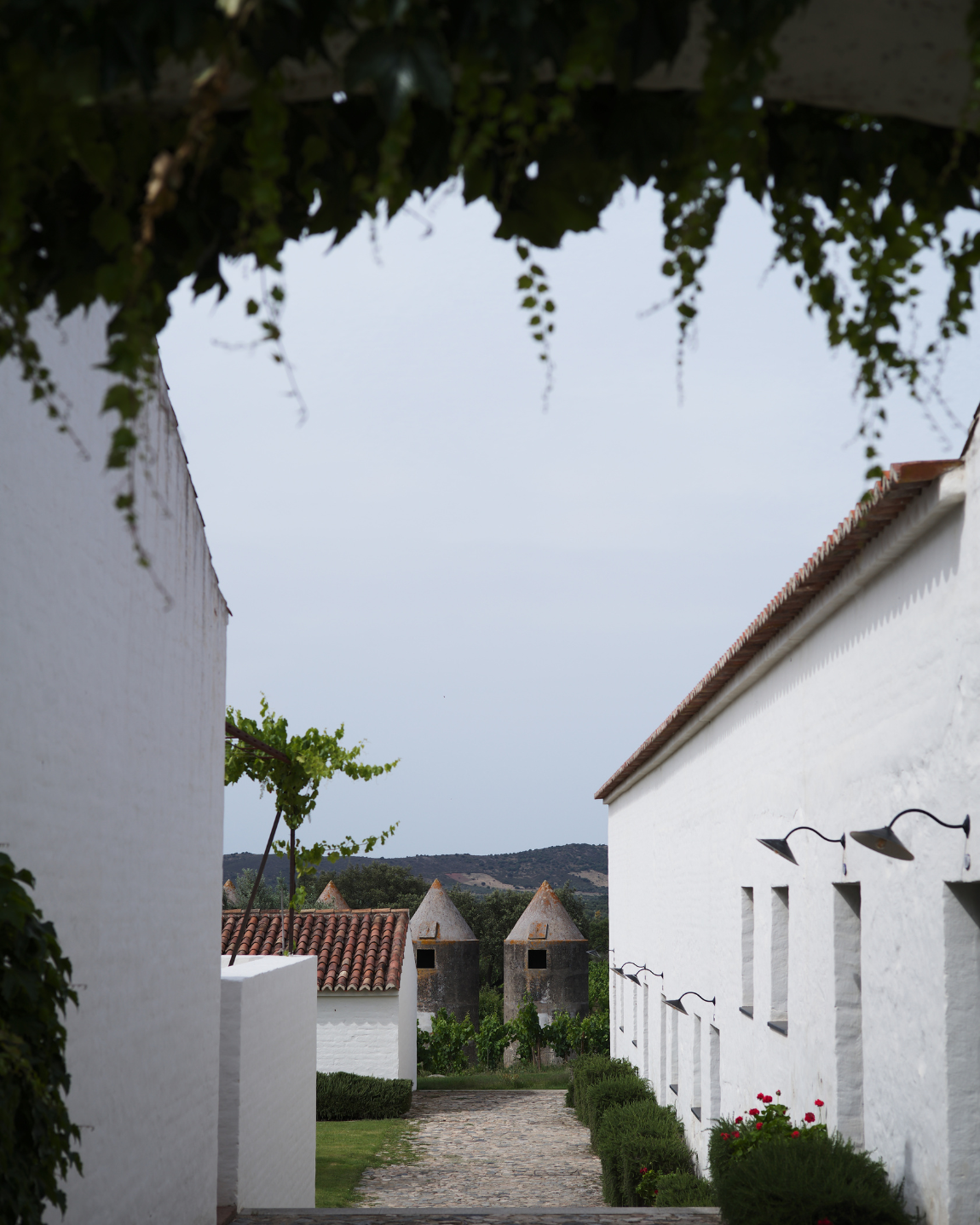 The Portugal Edit: Field Notes from 12 Days of Hotel Inspections and Experiences Worth Your Time