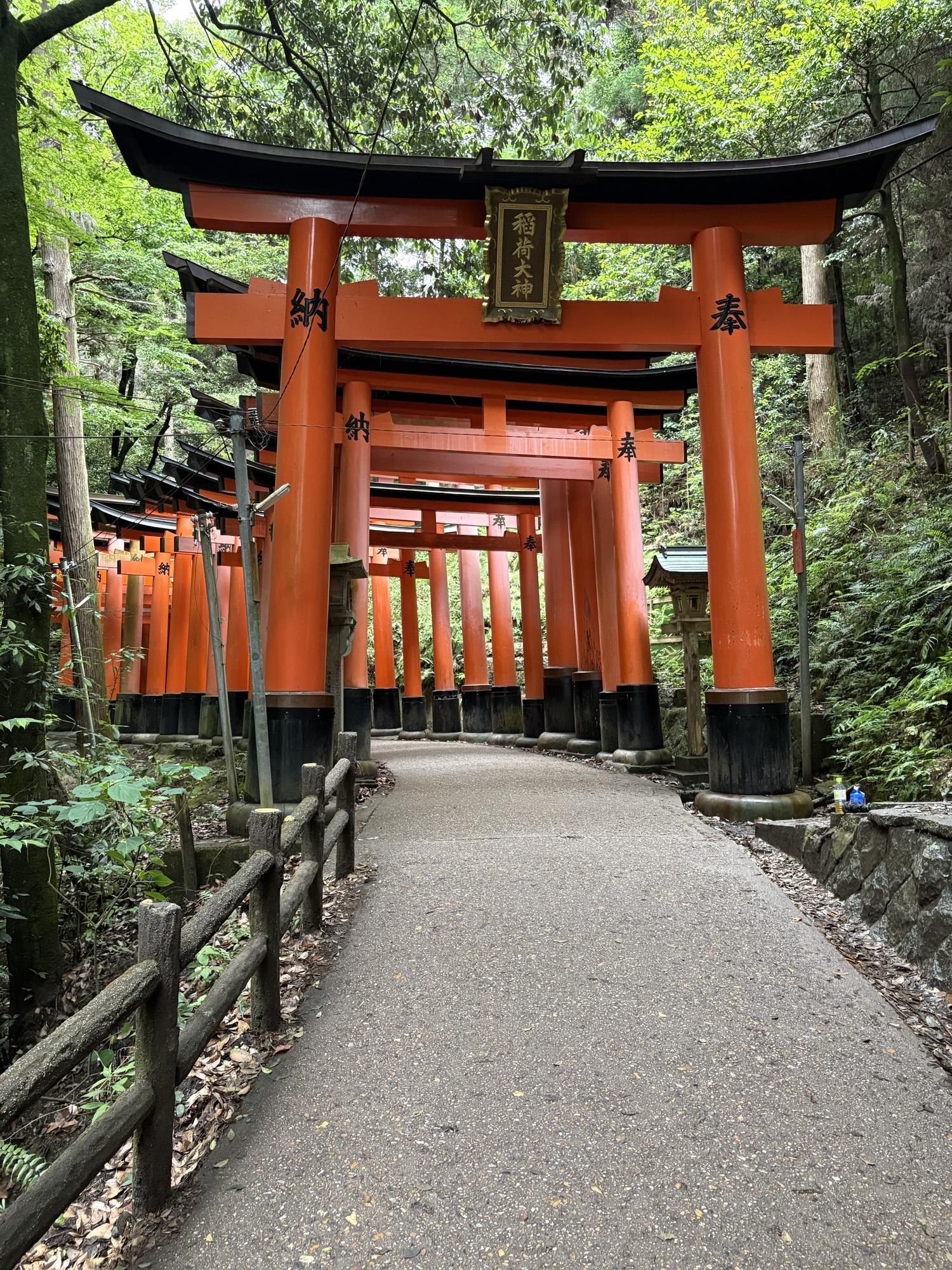 Advisor - Luxury Japan Adventure: Tokyo, Kyoto, Kanazawa & Hakone