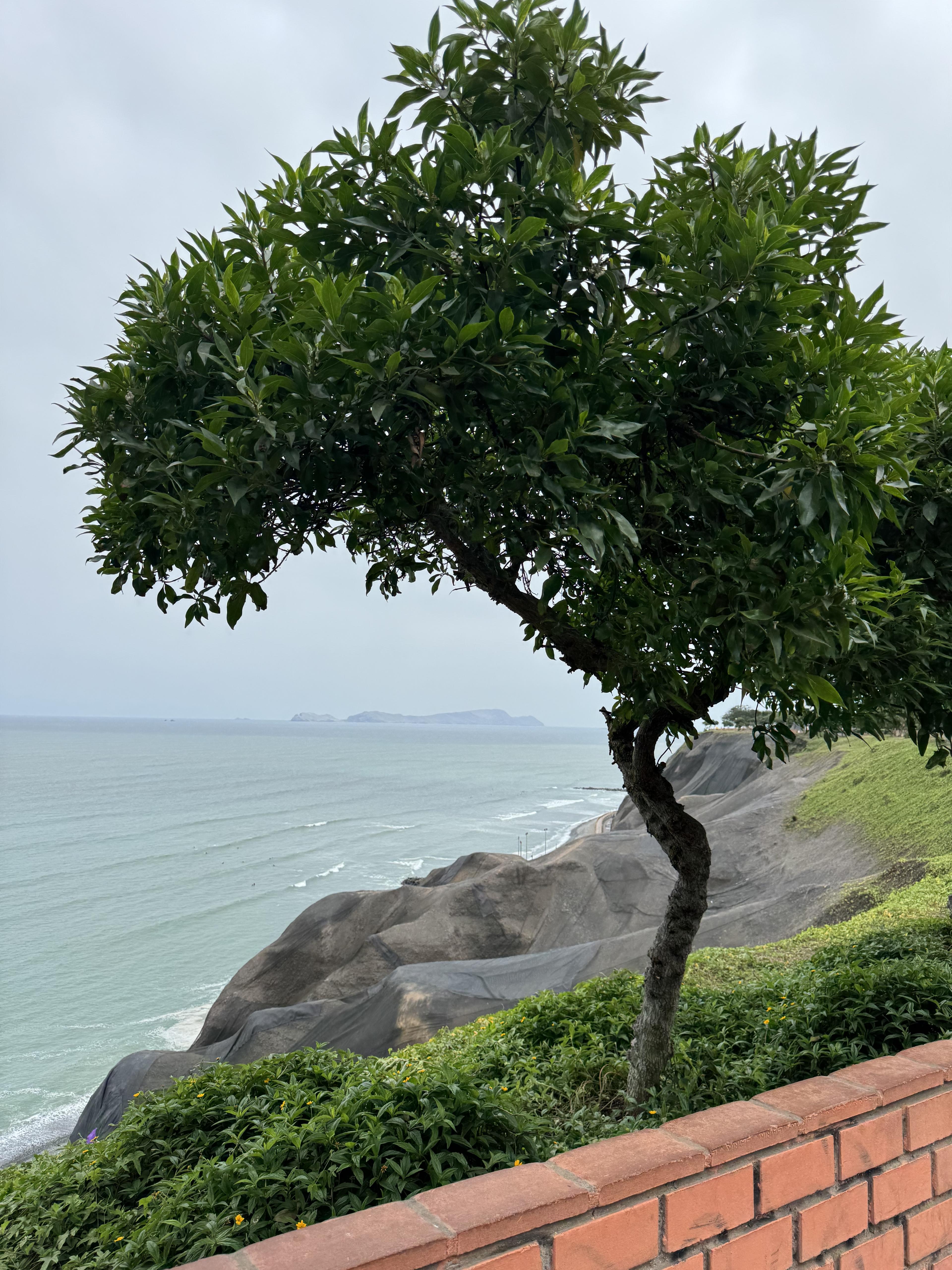 Why Lima Deserves More Than a Stopover
