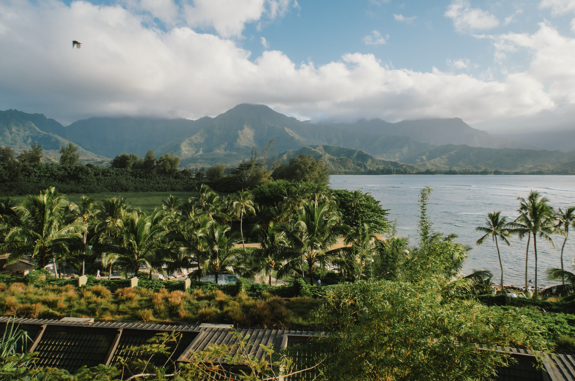 Advisor - One Week In Kaua’i: The Ultimate Babymoon Destination