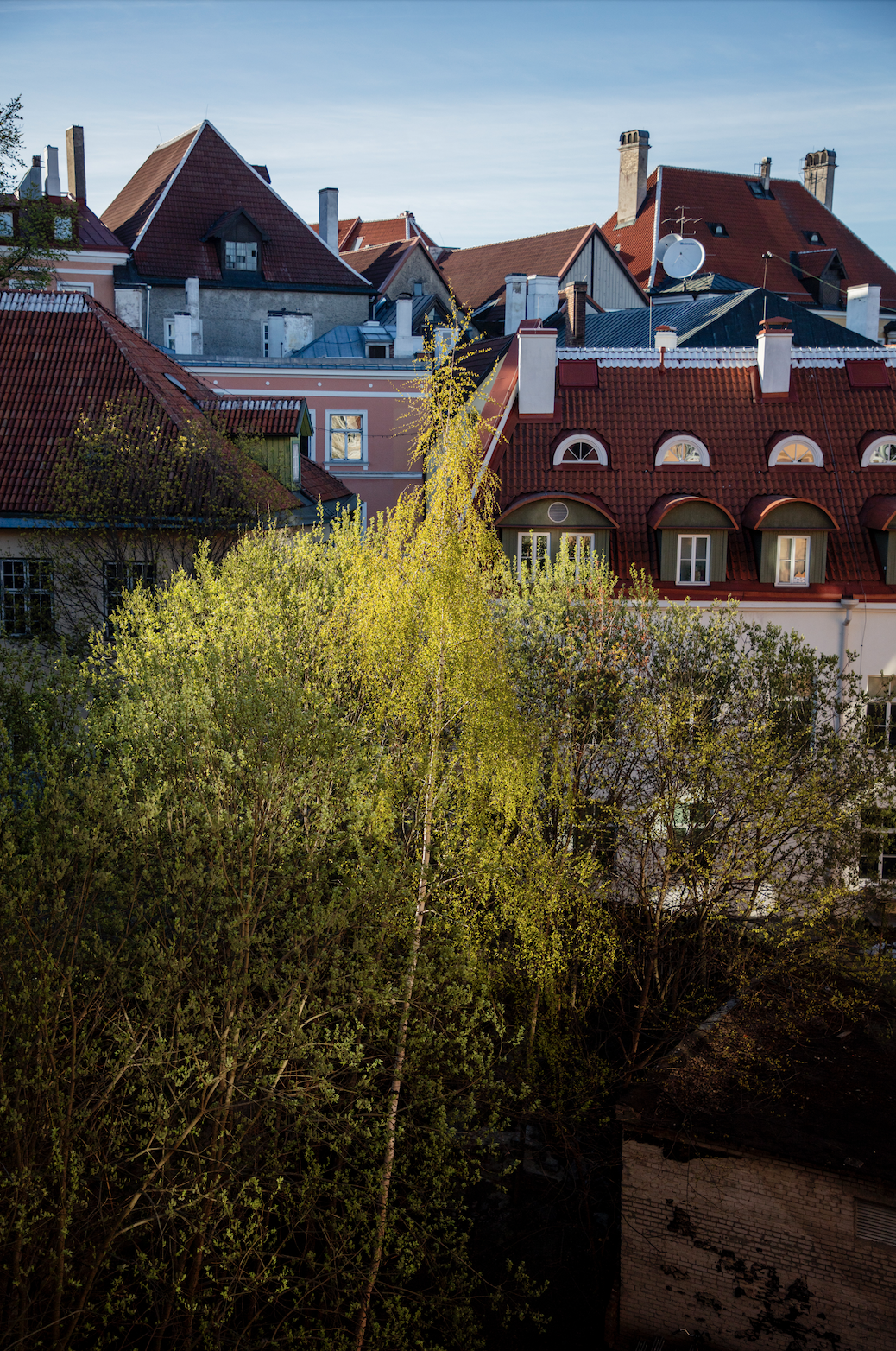 Advisor - Your New Favorite Cities: A Guide to the Baltics