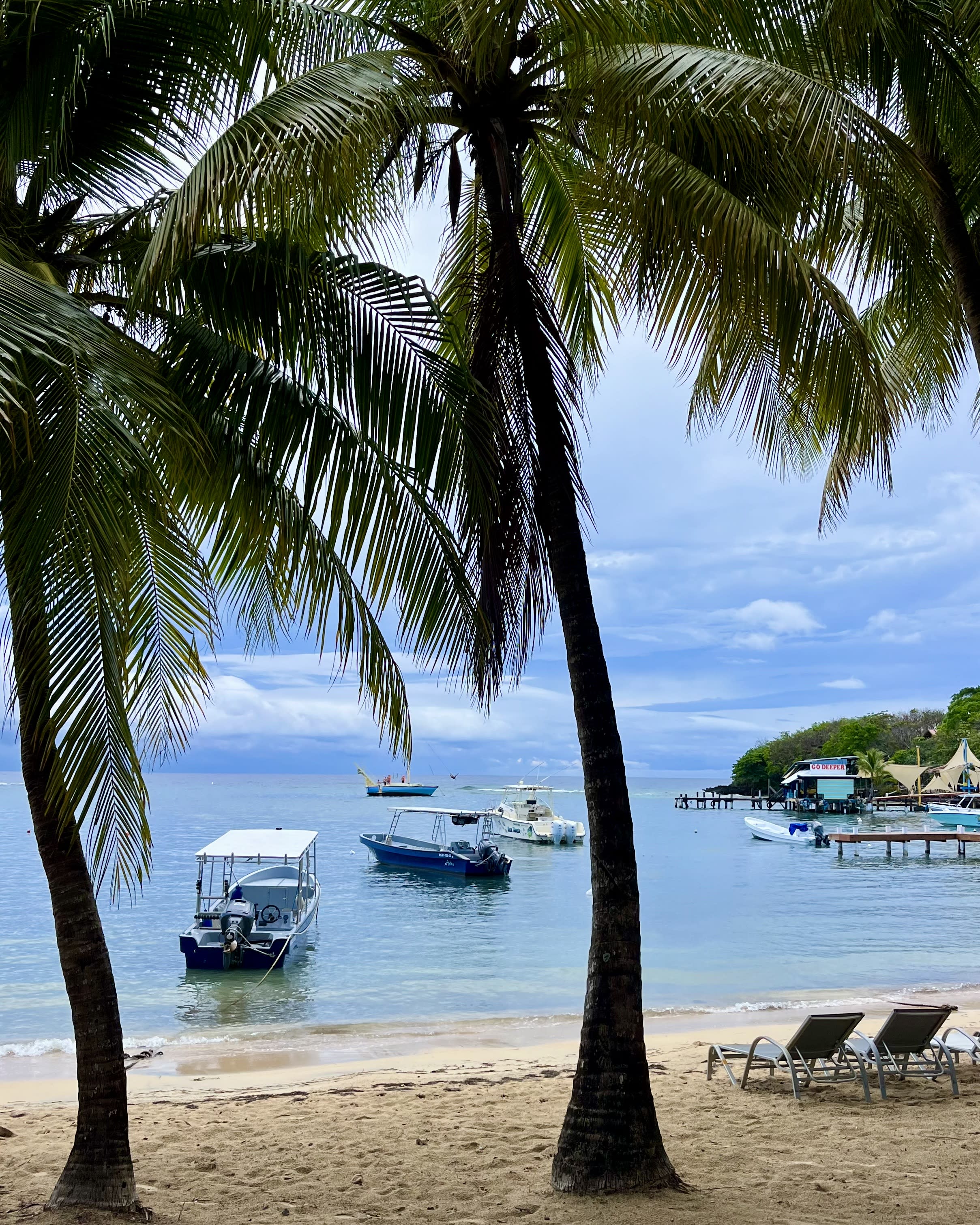 Advisor - Roatán, Honduras: Where Caribbean Adventure Meets Island Time