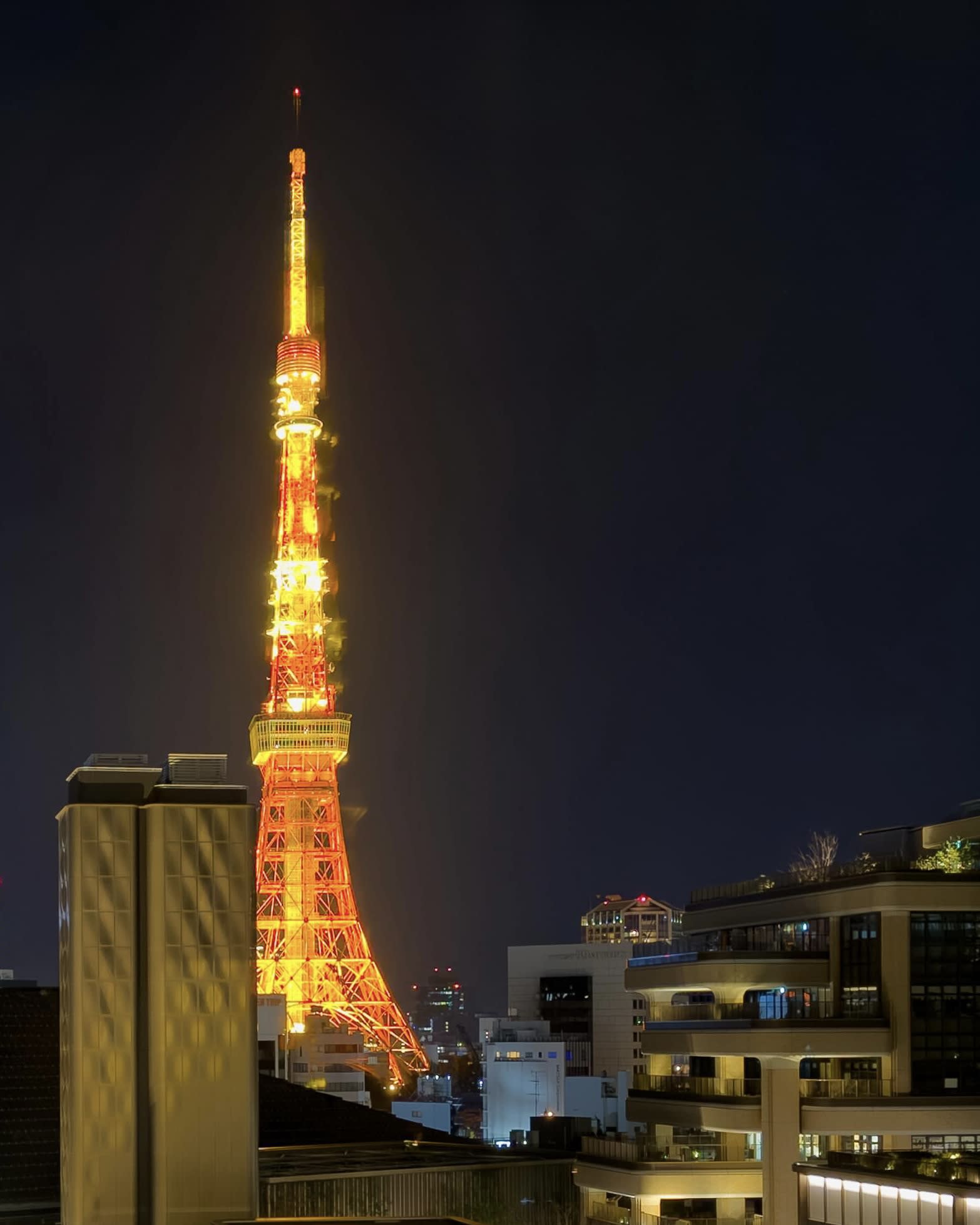 Advisor - Four Months in Tokyo: Where to Eat, Stay & Go