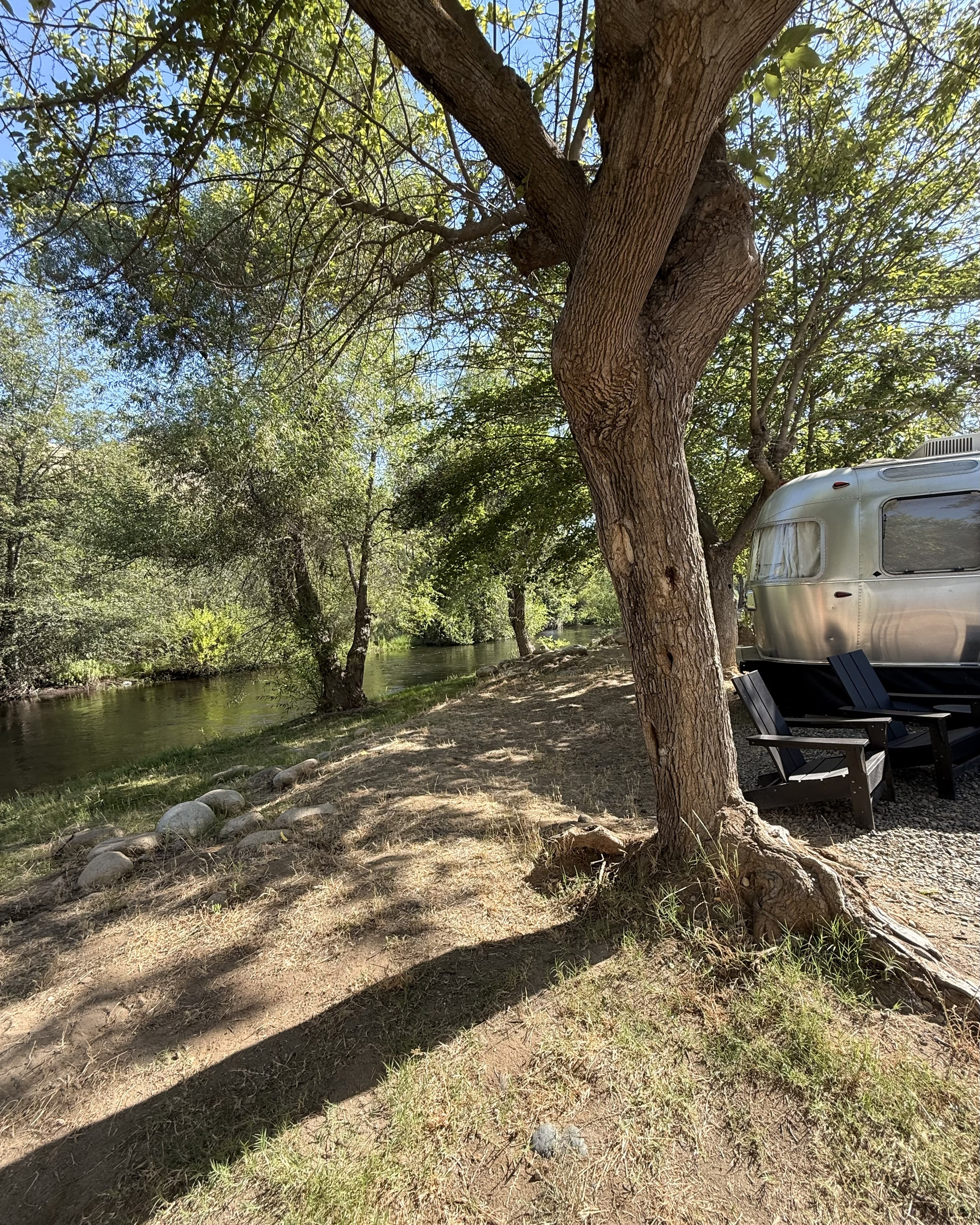 Advisor - Glamping in Sequoia & Kings Canyon National Parks
