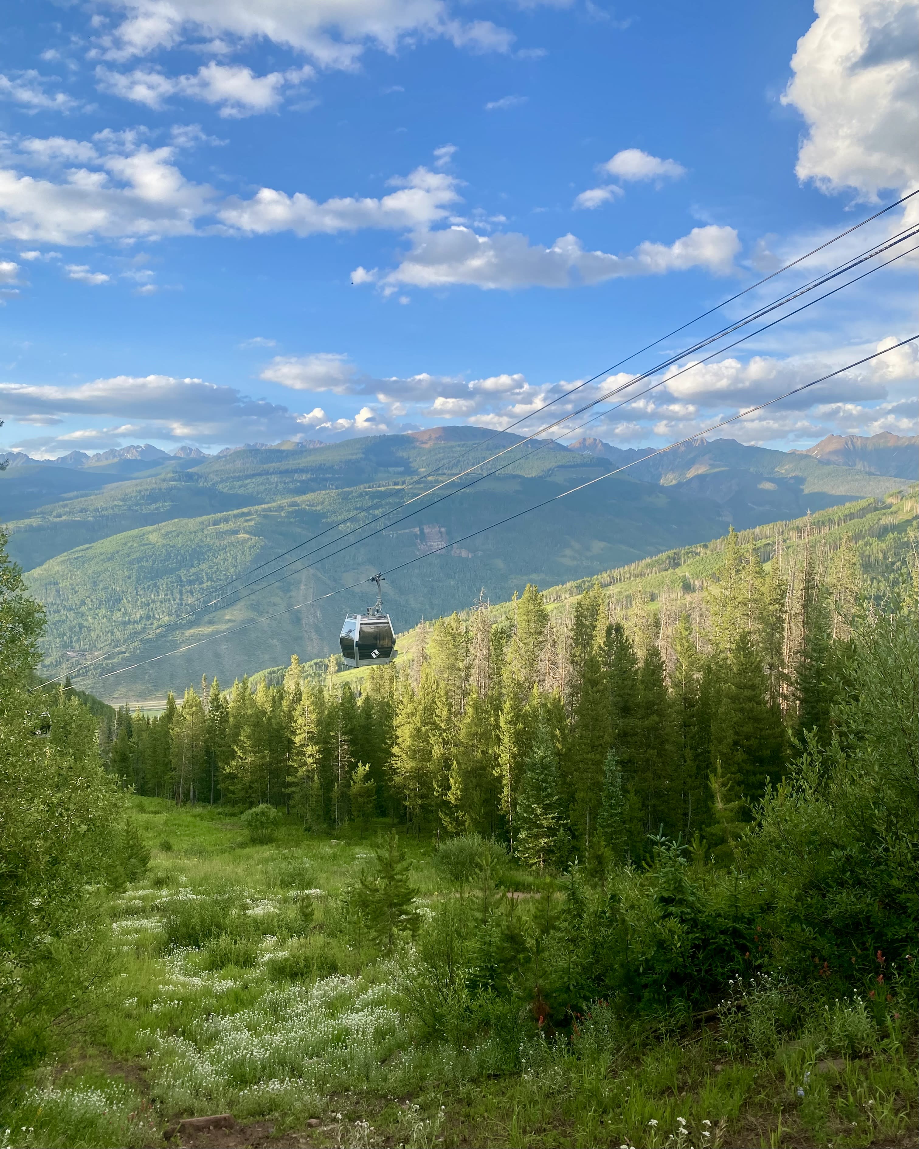 Advisor - Summer in Vail, From a Local’s Perspective