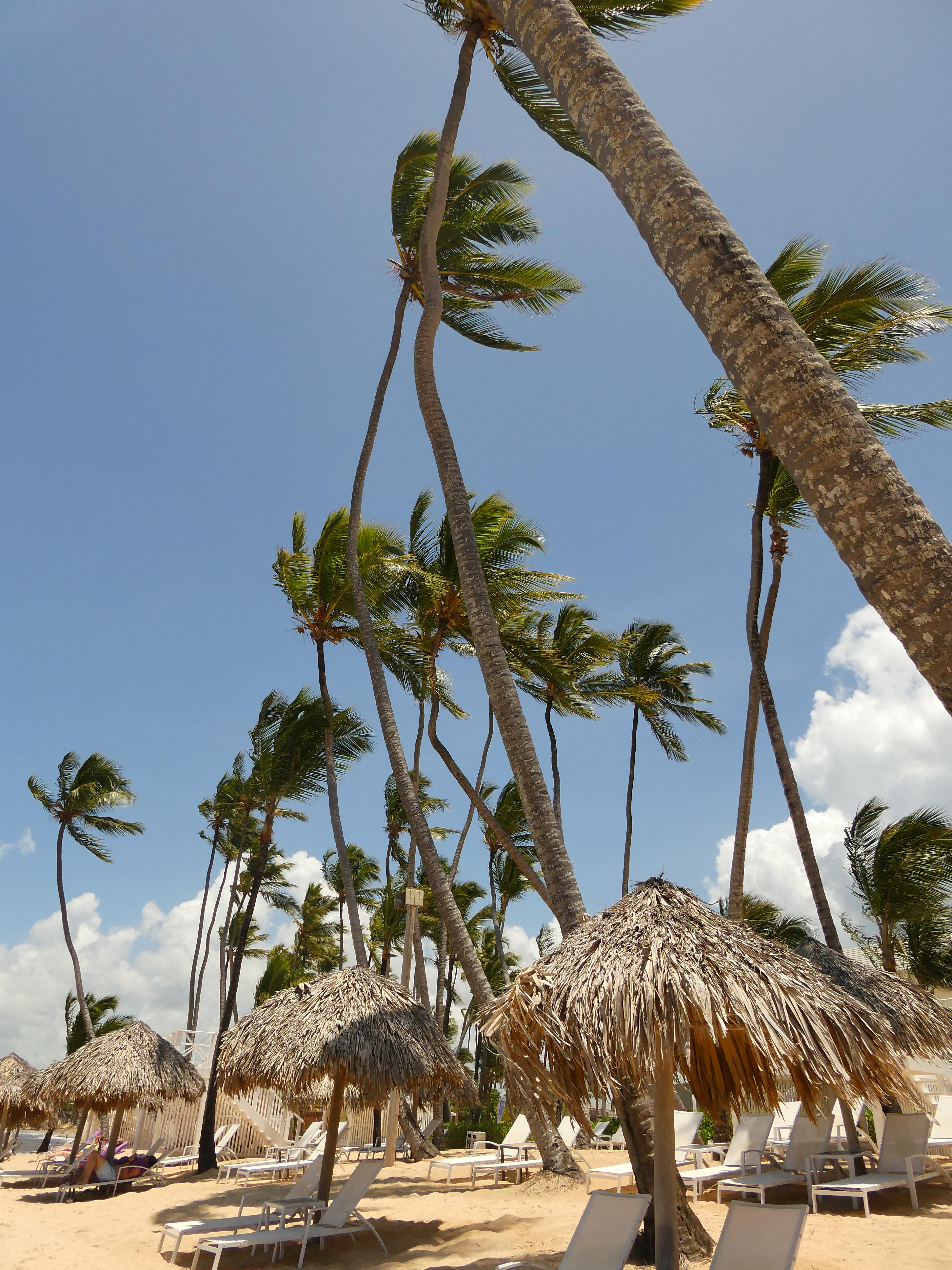 Resort Spotlight: Breathless Punta Cana