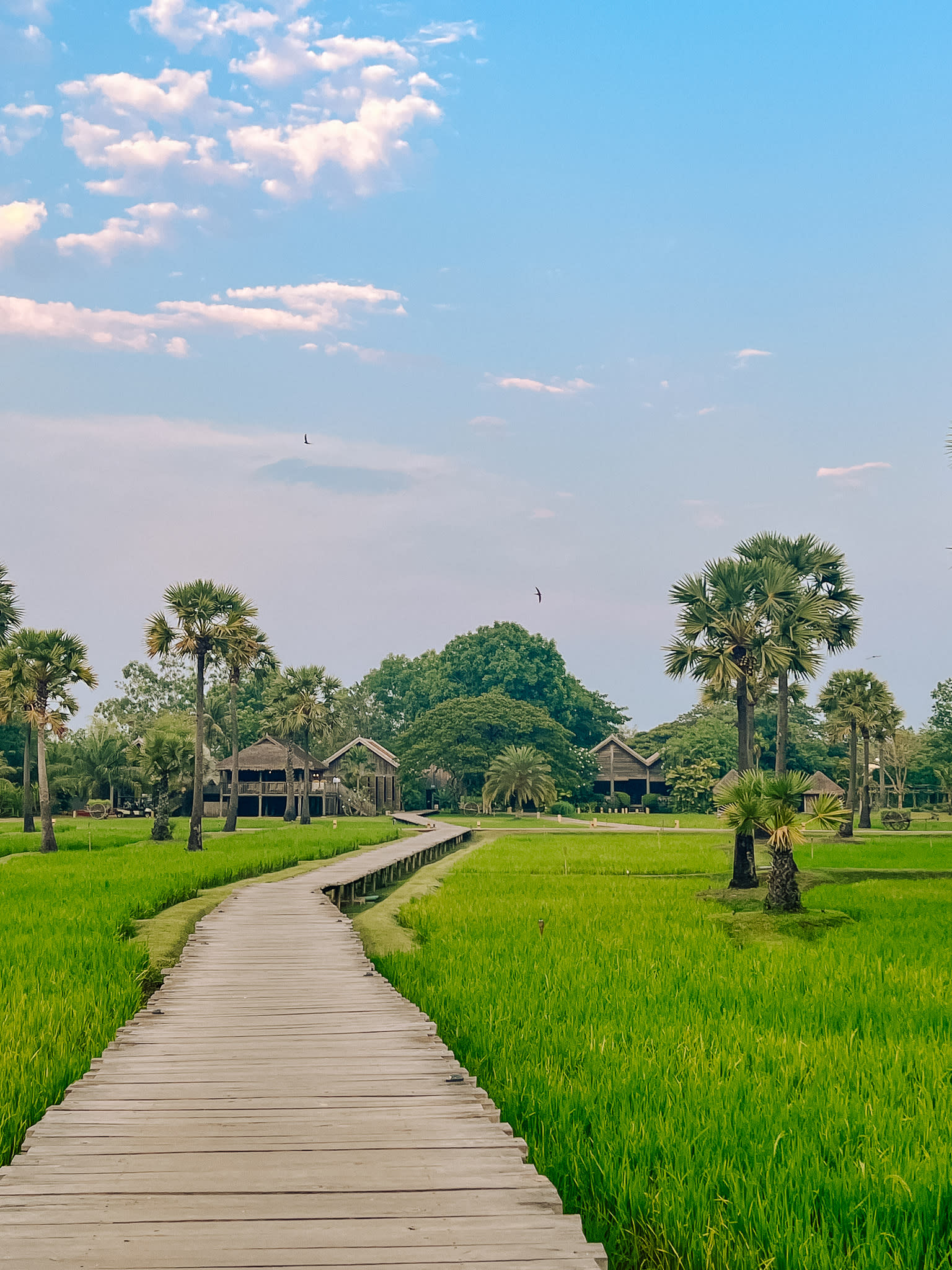 A Green Village in the Rice Paddies: Zannier Phum Baitang, Siem Reap