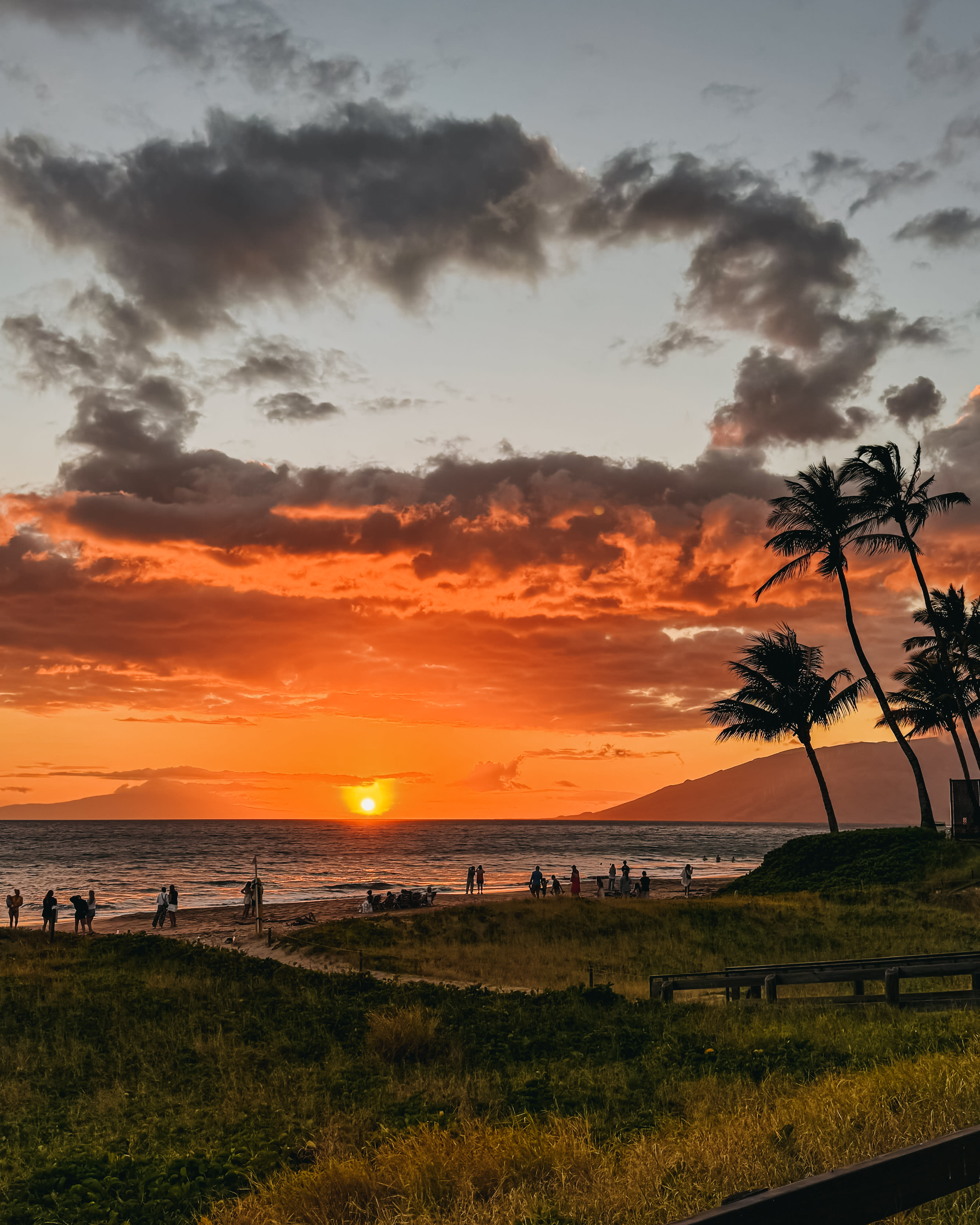 Advisor - Adventure Seekers’ Ultimate Guide to Maui, HI