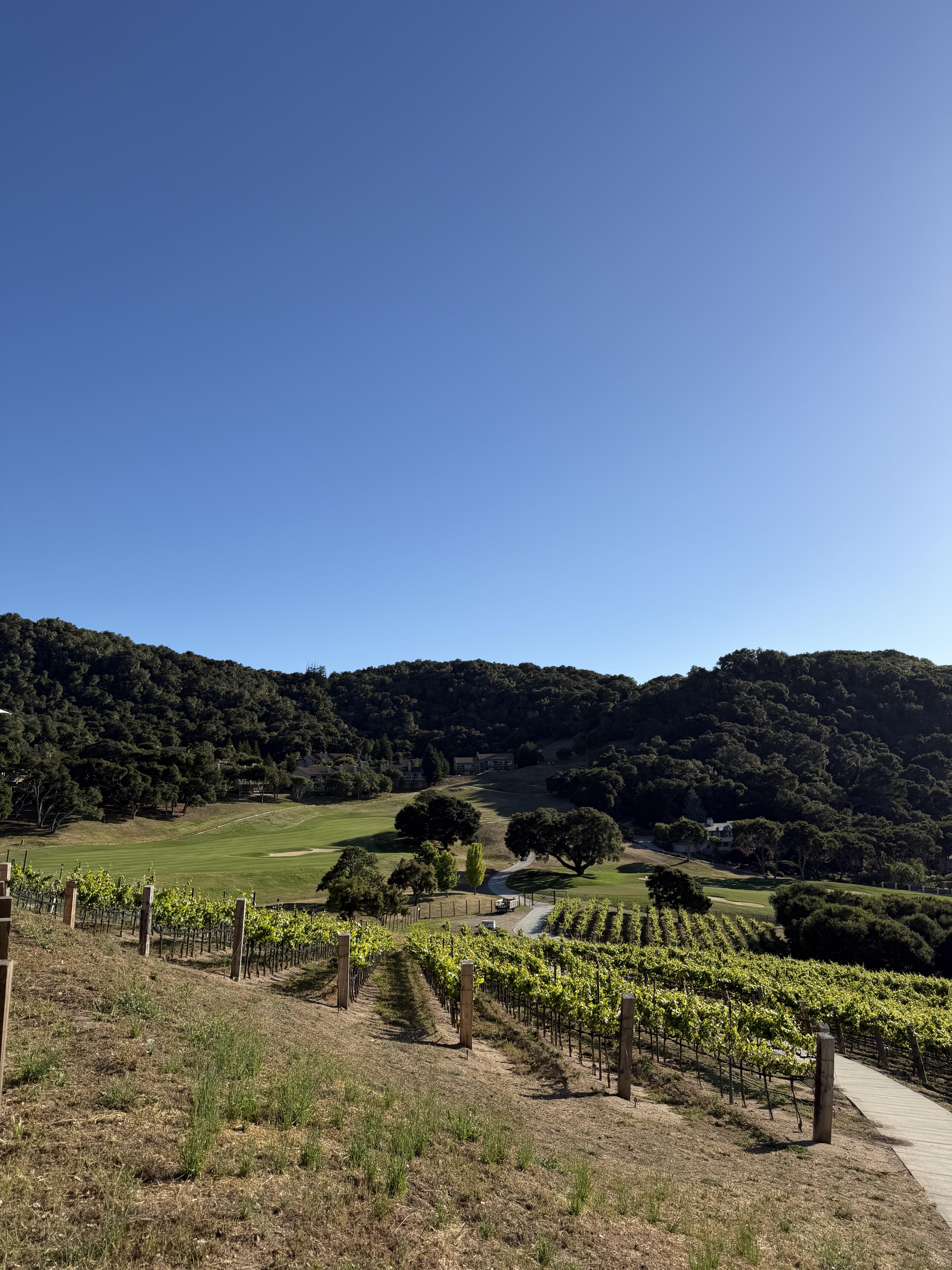 Carmel Valley Ranch for the Family