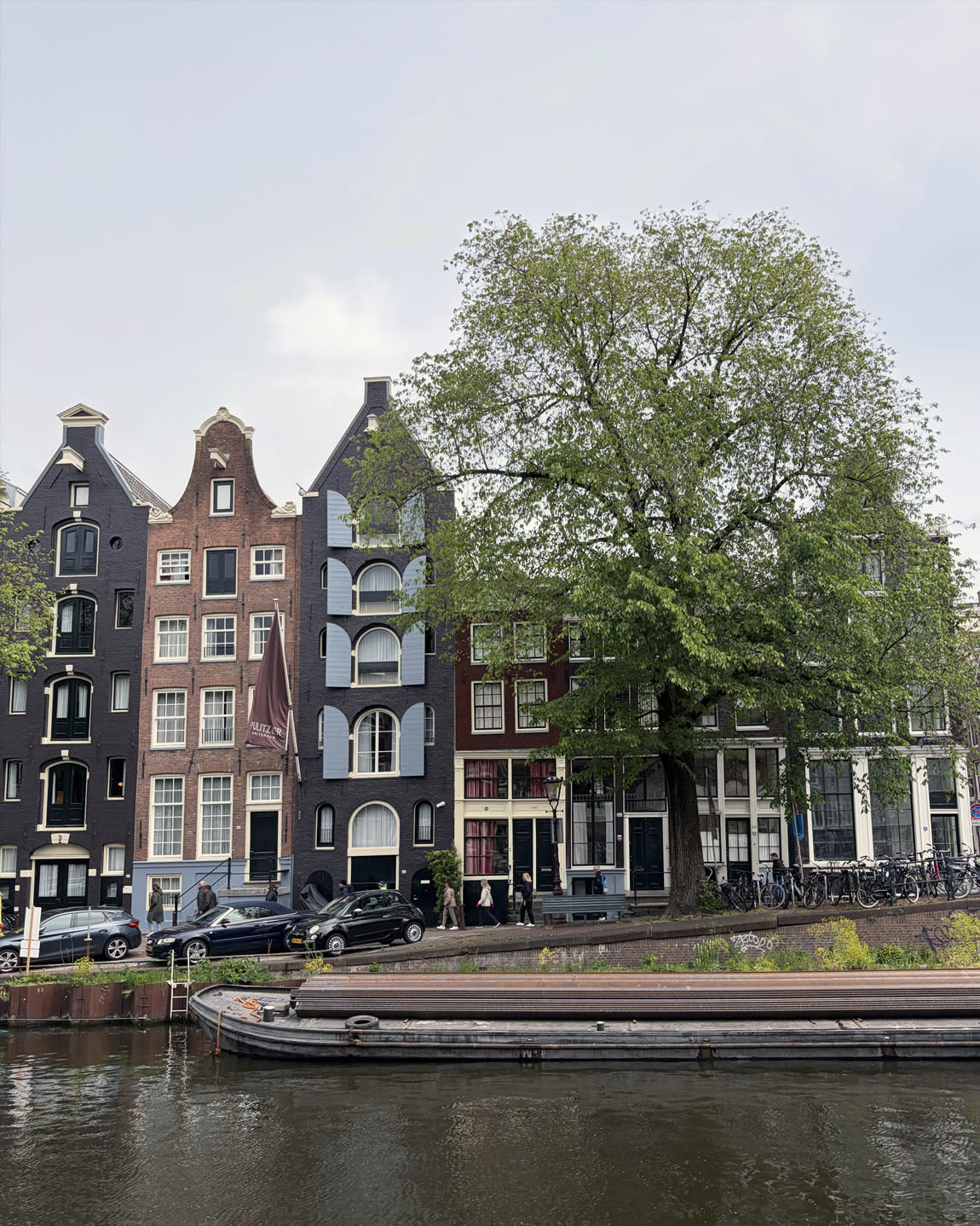 Advisor - Amsterdam: Canals, Culture & Cosmopolitan Charm