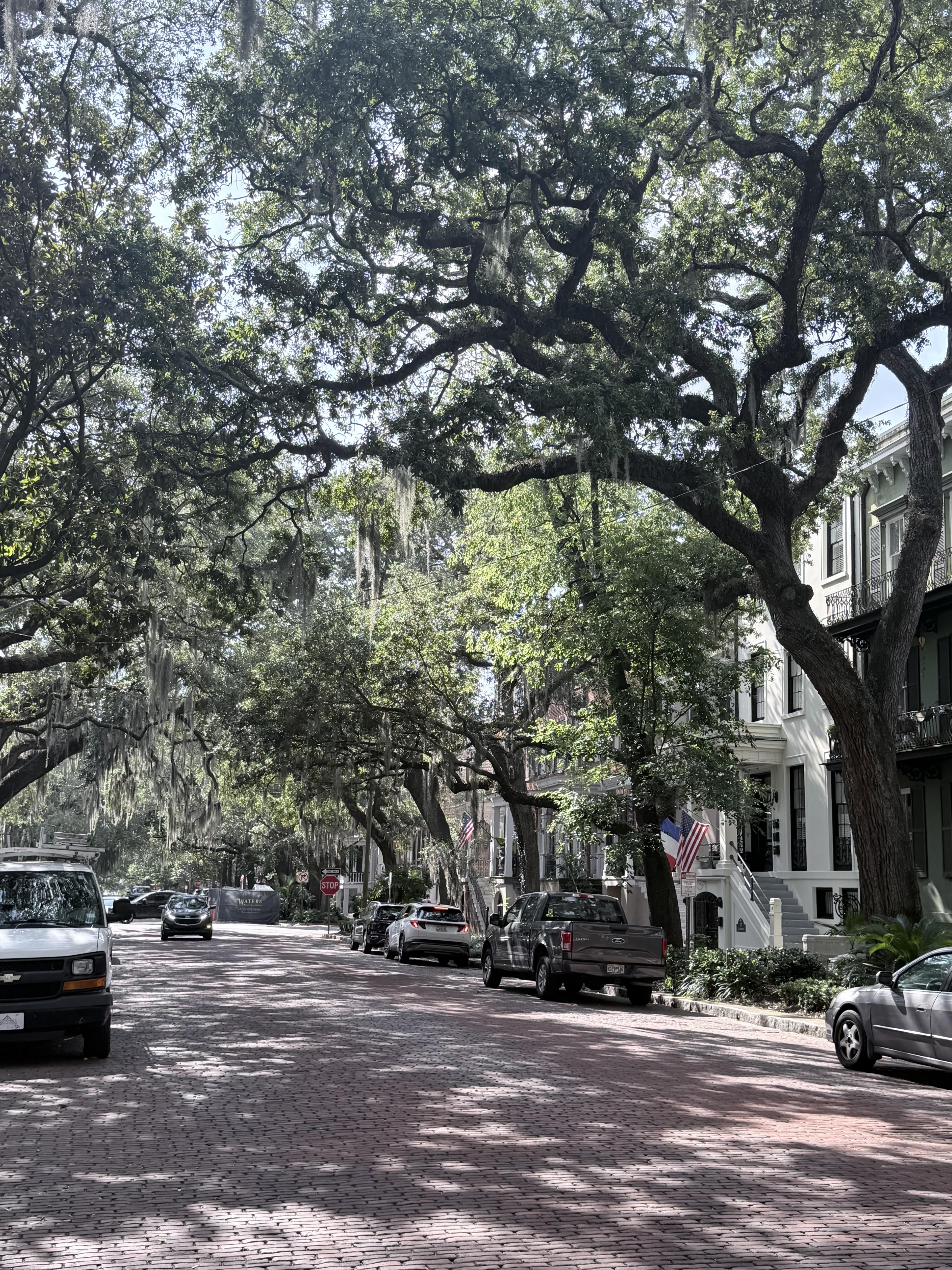 Advisor - Discover Savannah's Southern Charm in 4 Days
