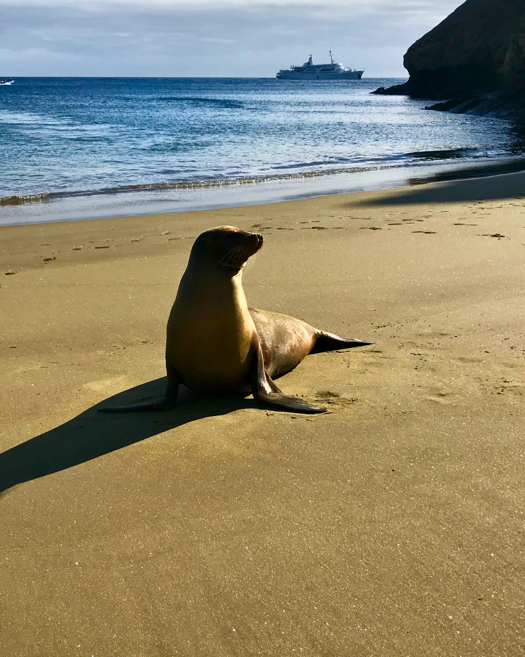 A Sustainable Expedition Aboard the Galápagos Legend