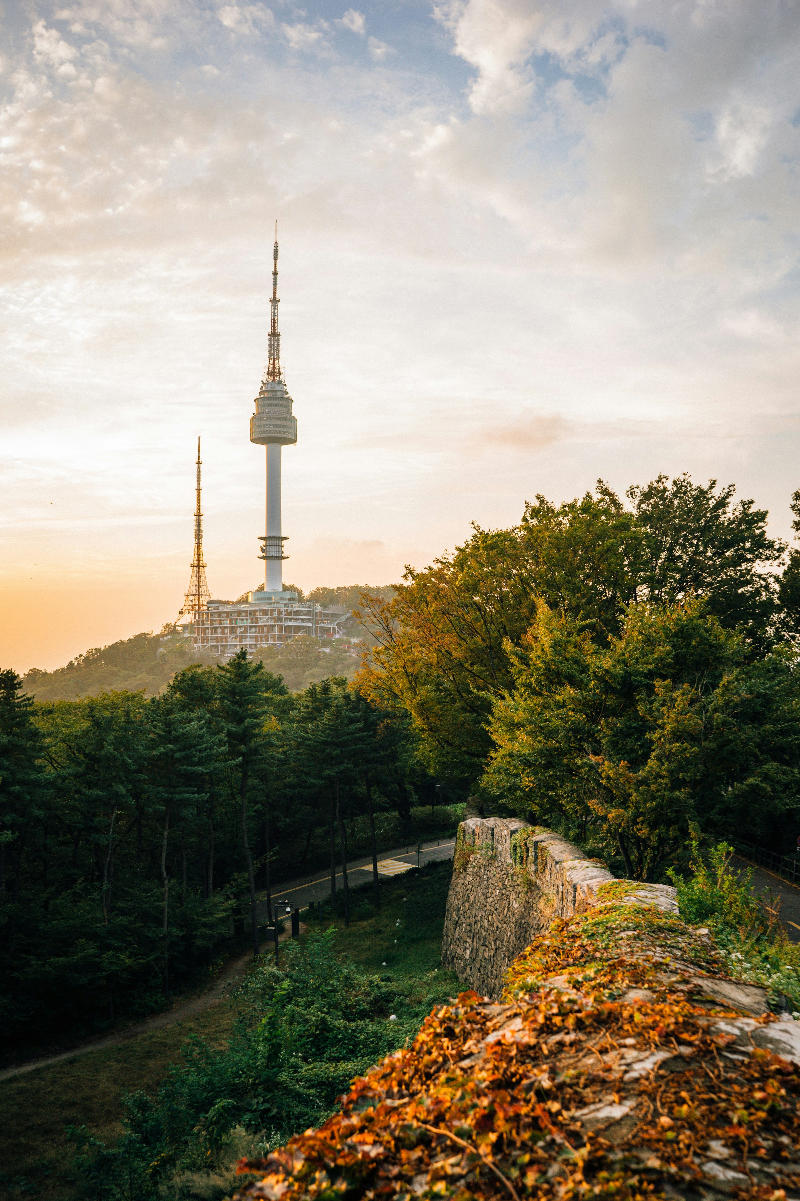 Advisor - Korea: Ancestral-Meets-Modern Wellness Sanctuary