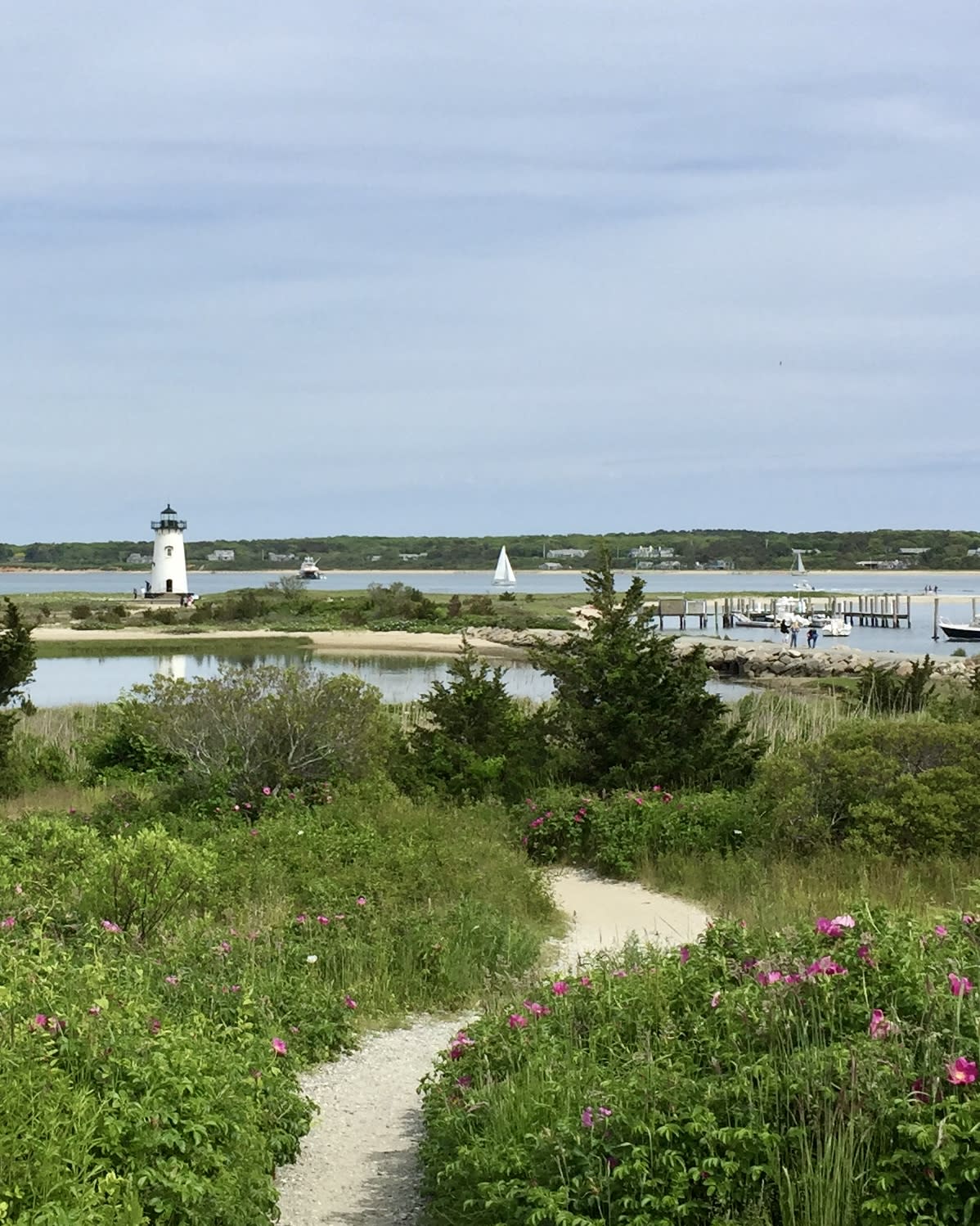 Advisor - Martha's Vineyard, Massachusetts: An Insider's Guide to a Perfect Summer Weekend