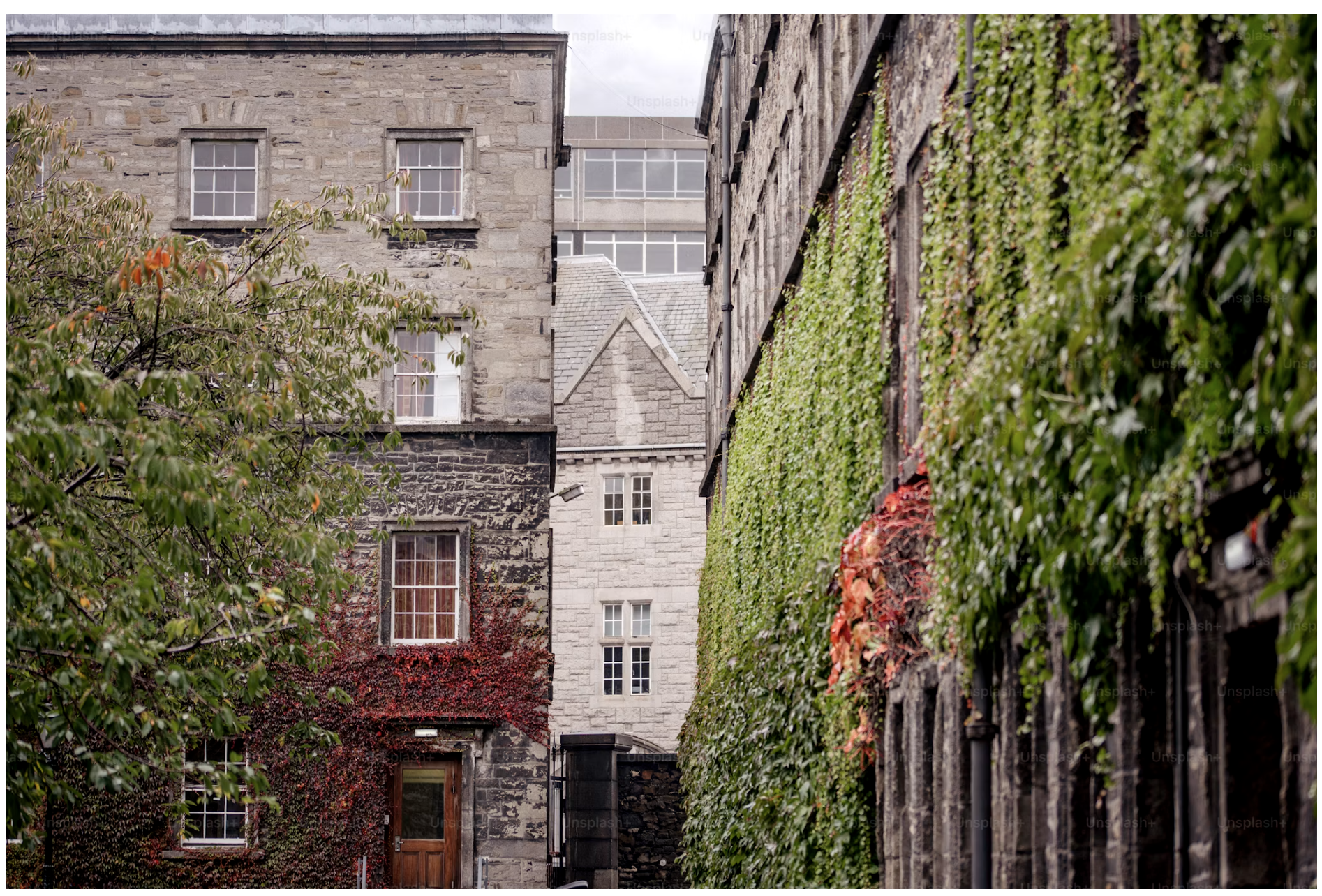 Advisor - Craic & Culinary: Where to Eat & Drink in Dublin
