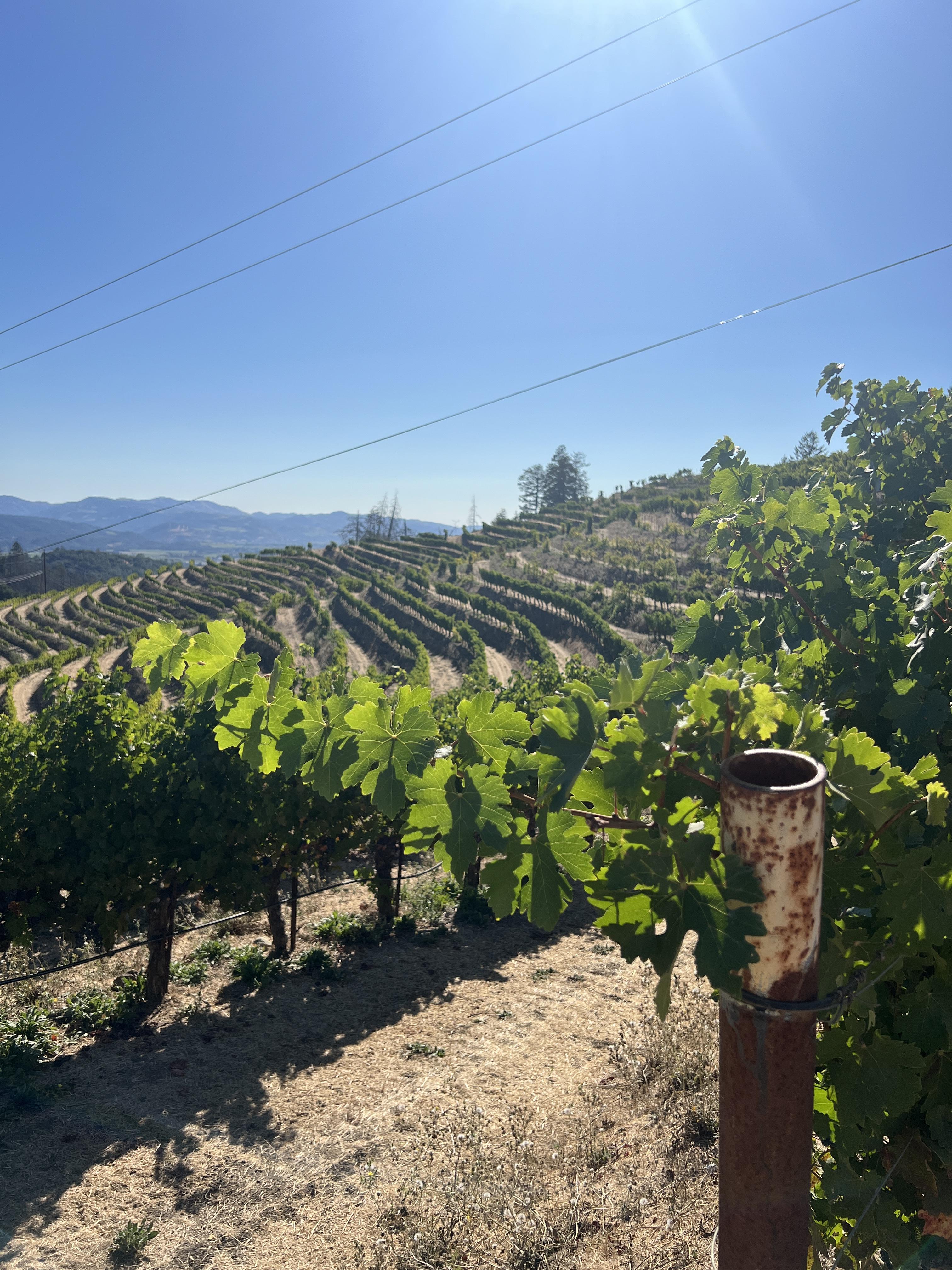 Advisor - The Napa Valley Most Visitors Miss