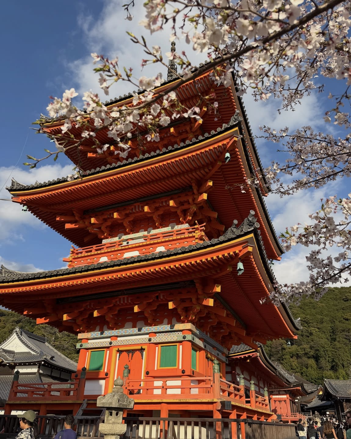 Advisor - Mountains & Temples & Trains (Oh My!)—A Guide to Japan with Kids