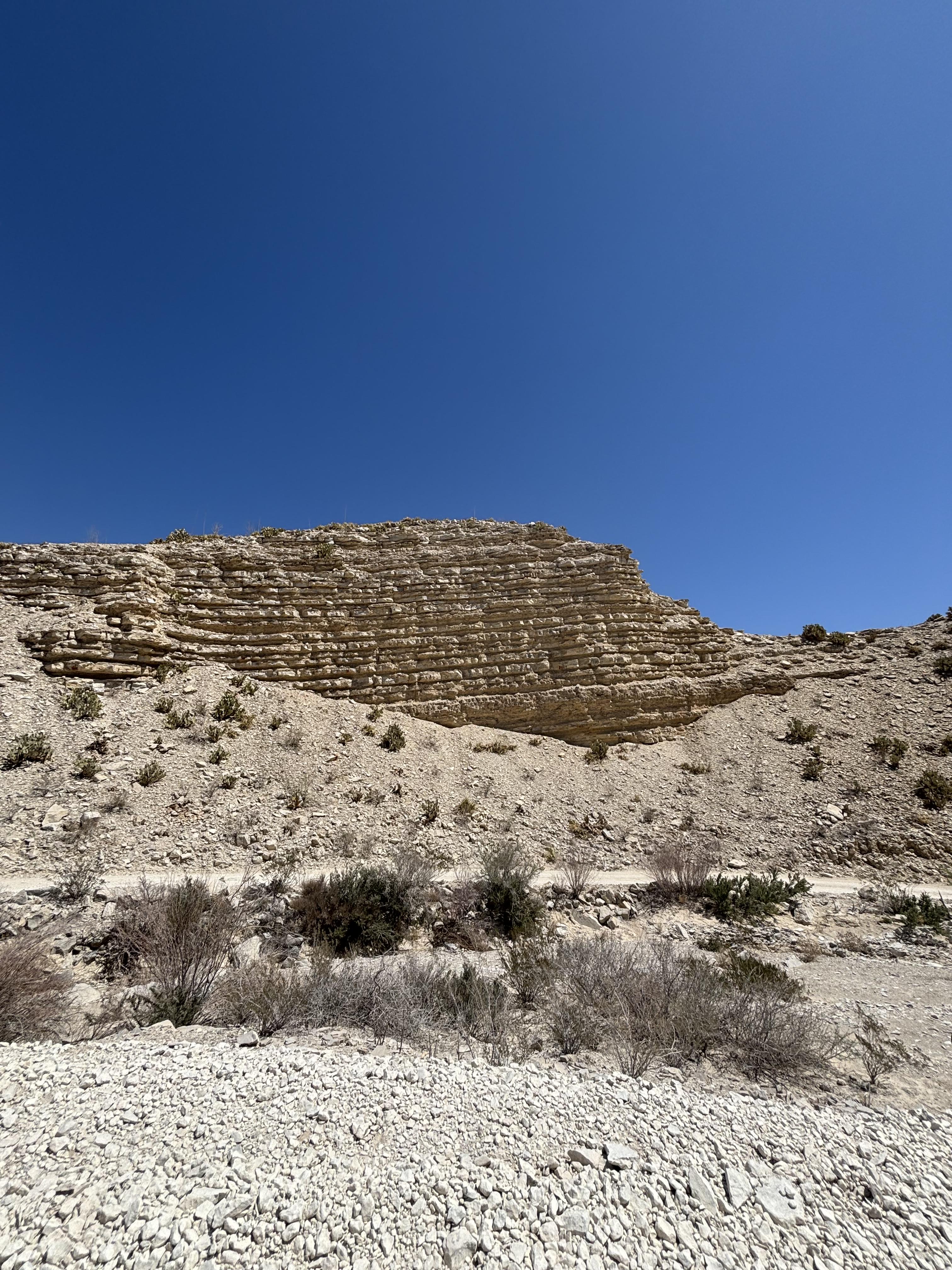 Advisor - Open Spaces & Stargazing: A Visit to Beautiful Big Bend