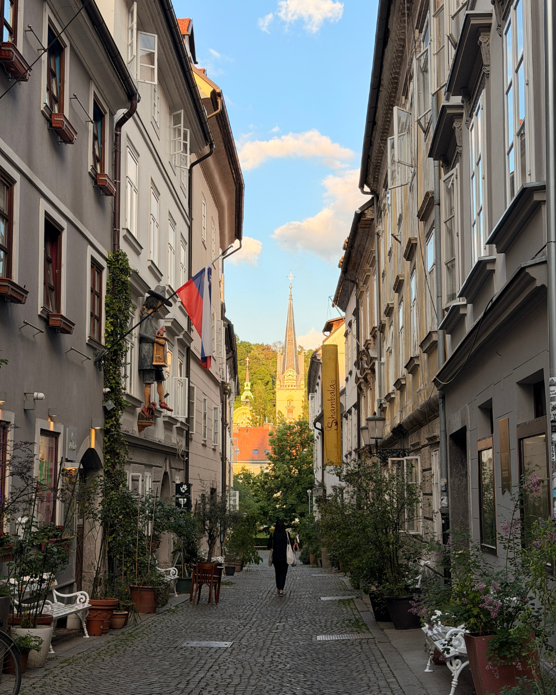 Advisor - Slovenia: A Fantasy Lover’s Dream Destination