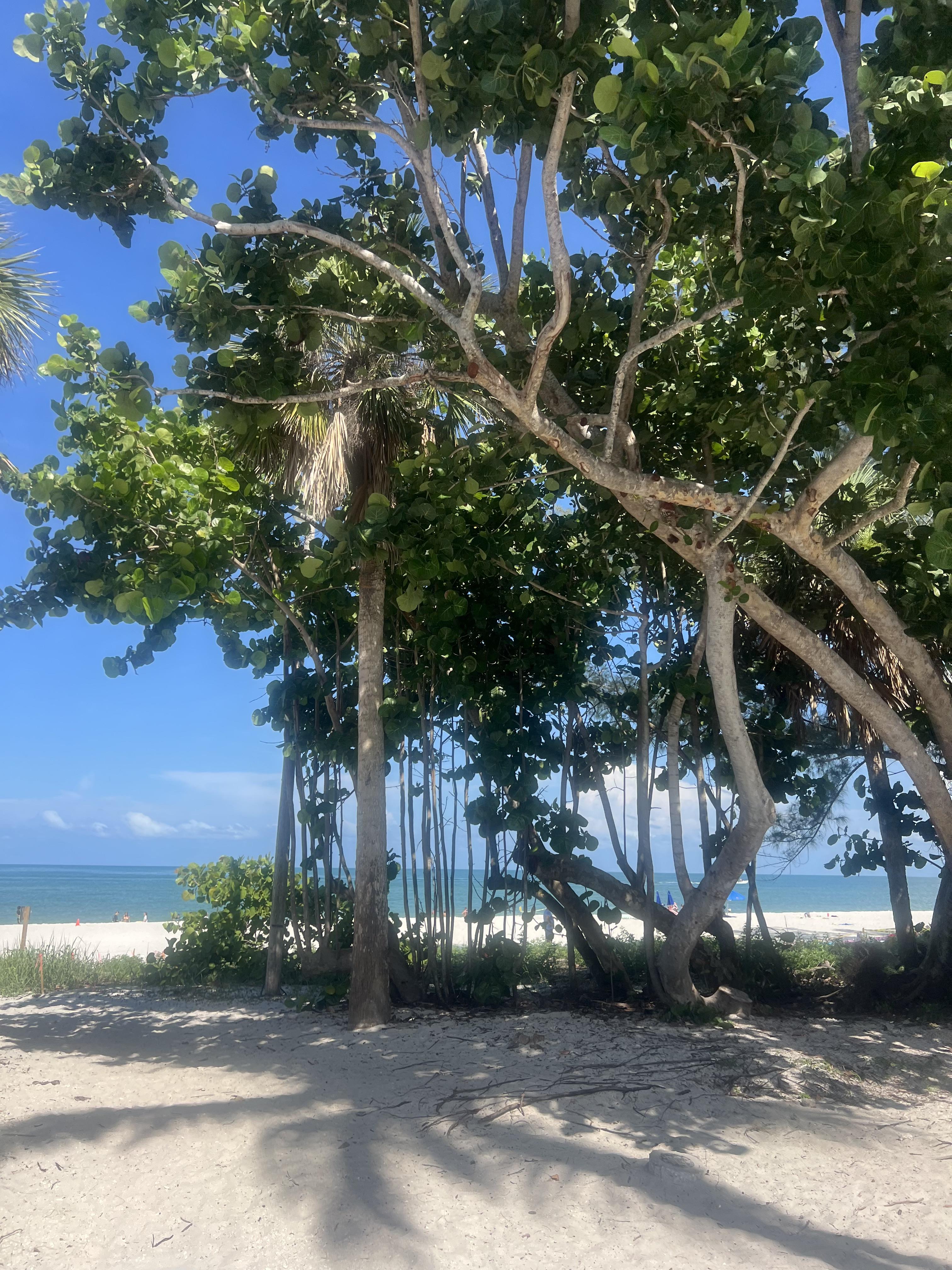 Advisor - A Local’s Guide to the Best of Naples, Florida