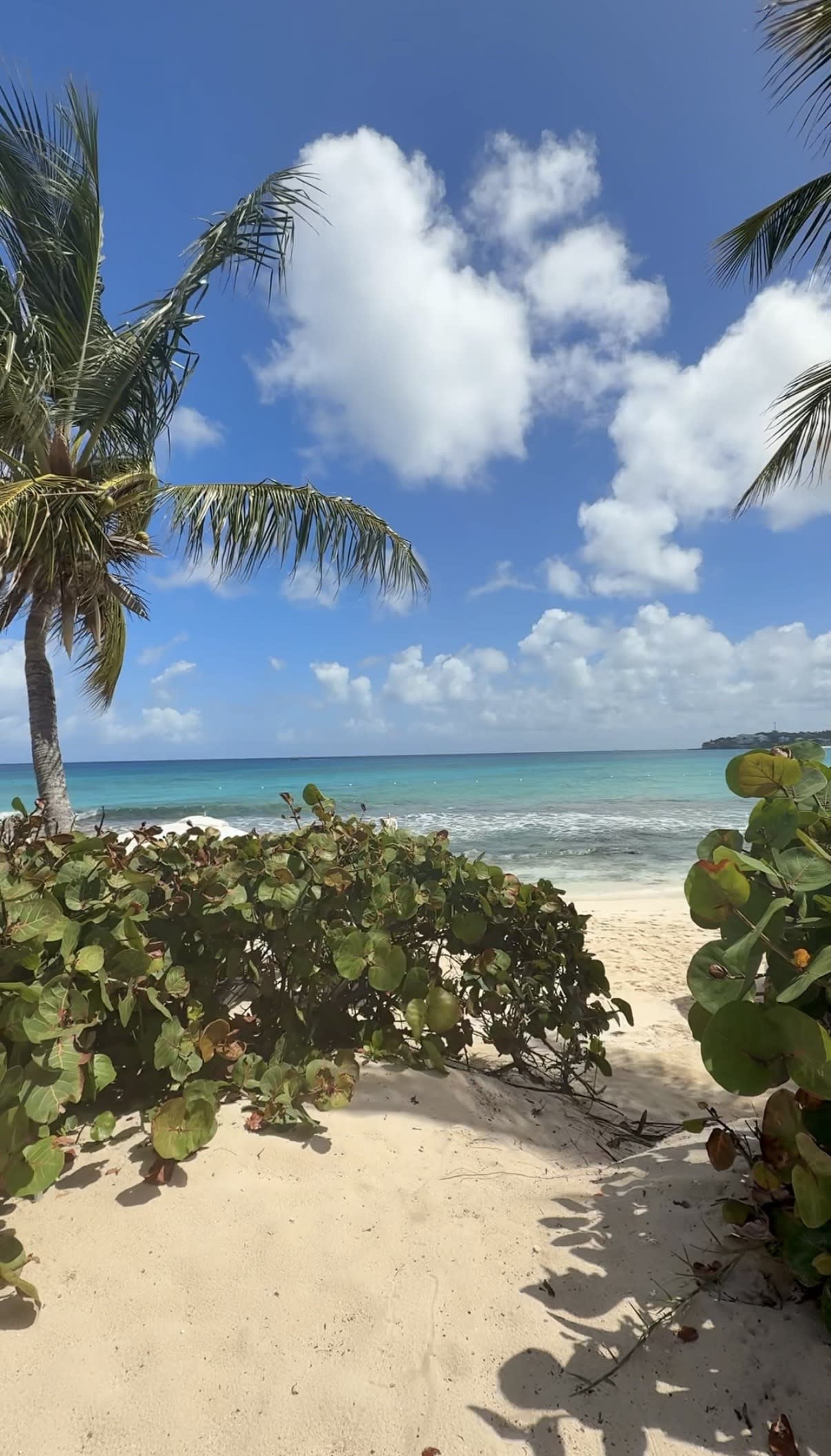 The Luxury Traveler’s Guide to Anguilla